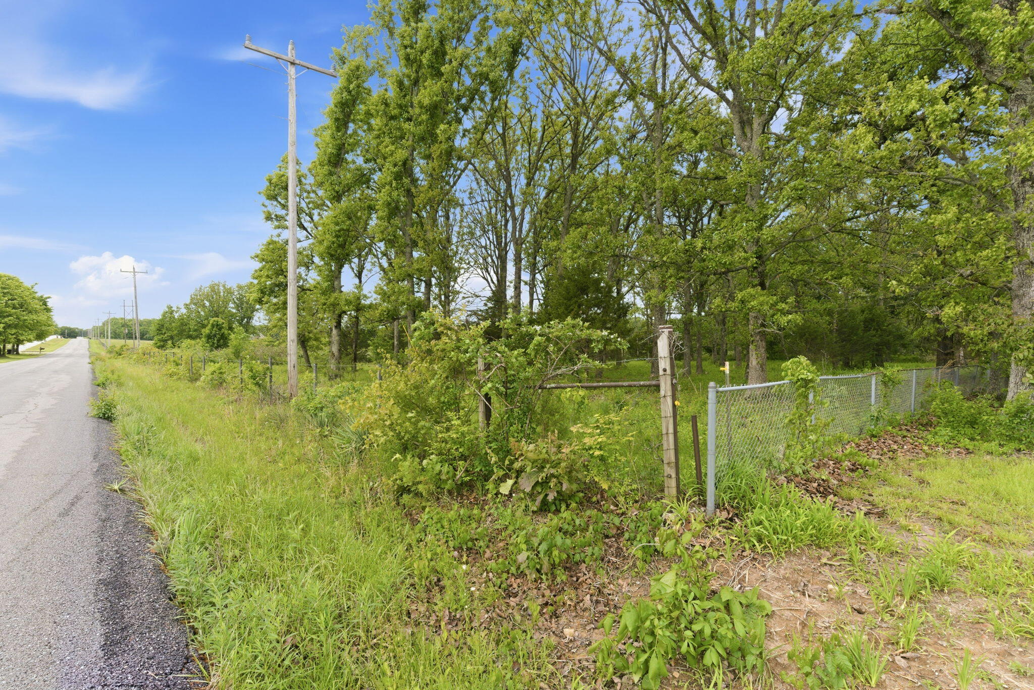 Photo 4 - Land for sale – 000  Chicory Road  Rogersville, MO