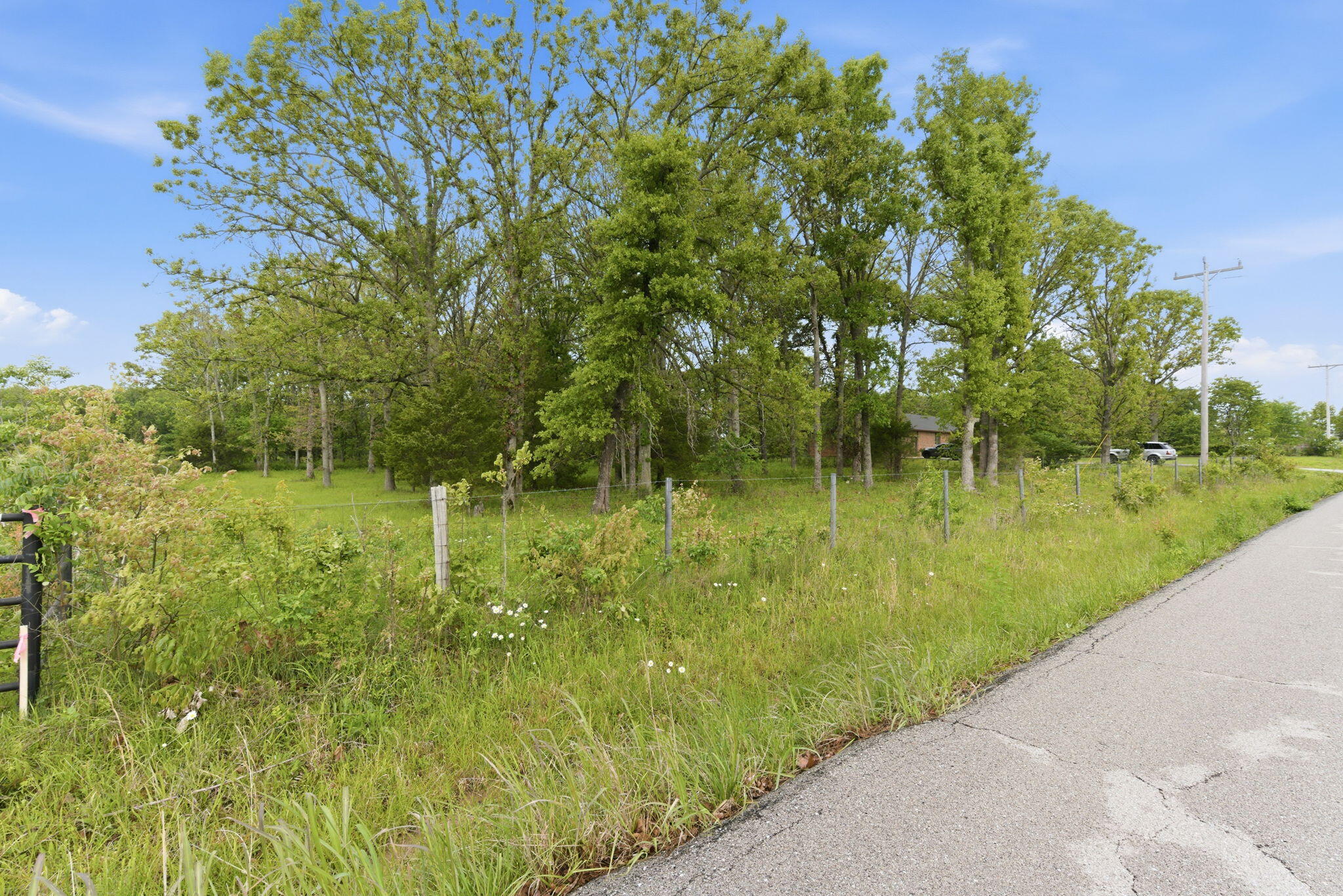Photo 3 - Land for sale – 000  Chicory Road  Rogersville, MO