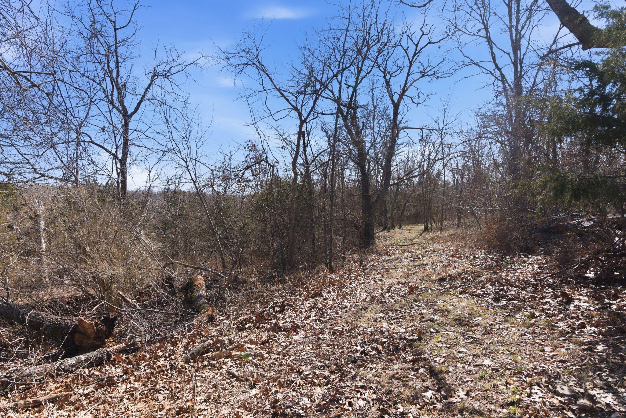 Photo 34 - Residential for sale – 12134  State Hwy D   Thornfield, MO