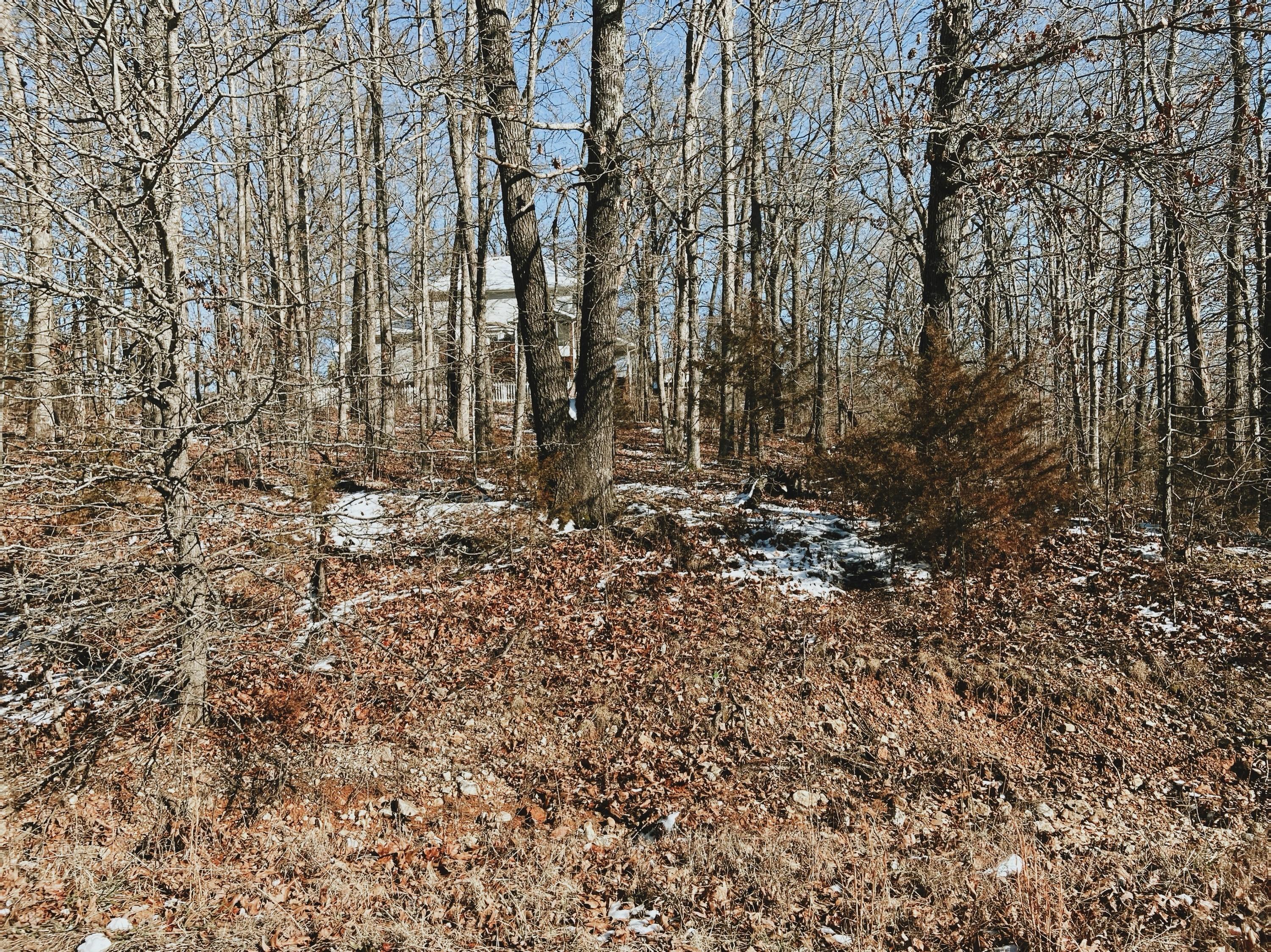 Land for sale – 000  Lot 2 Block 13 Morrison Sub   West Plains, MO