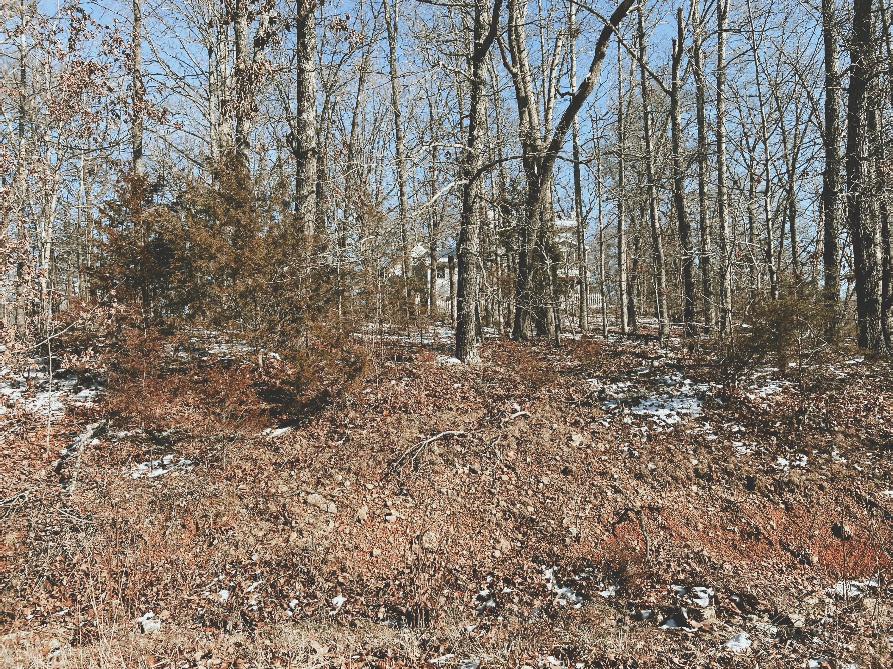 Land for sale – 000  Lot 3 Block 13 Morrison Sub   West Plains, MO
