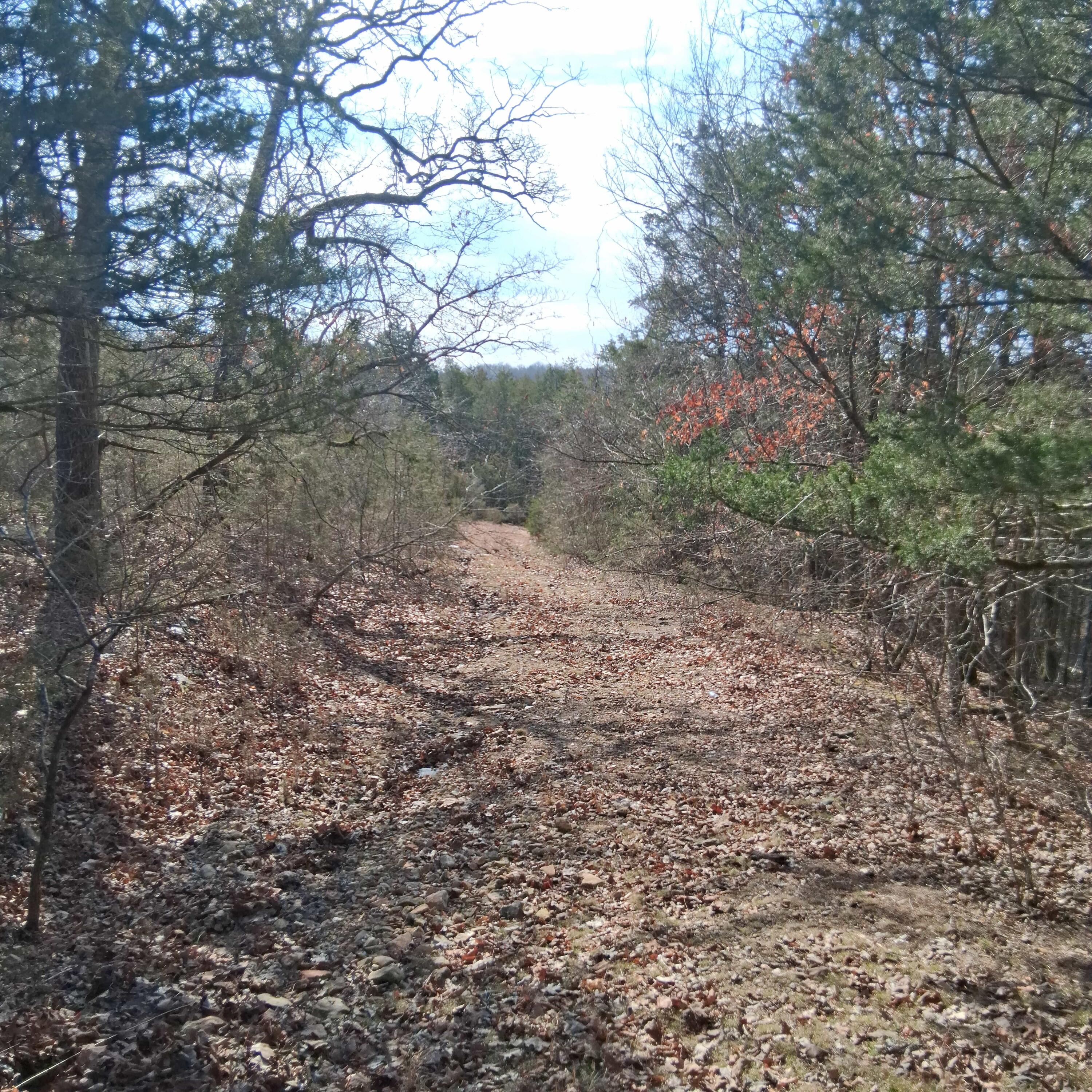 Photo 8 - Land for sale – Lts 285  Thru 288 Greers Ferry Road  Branson, MO