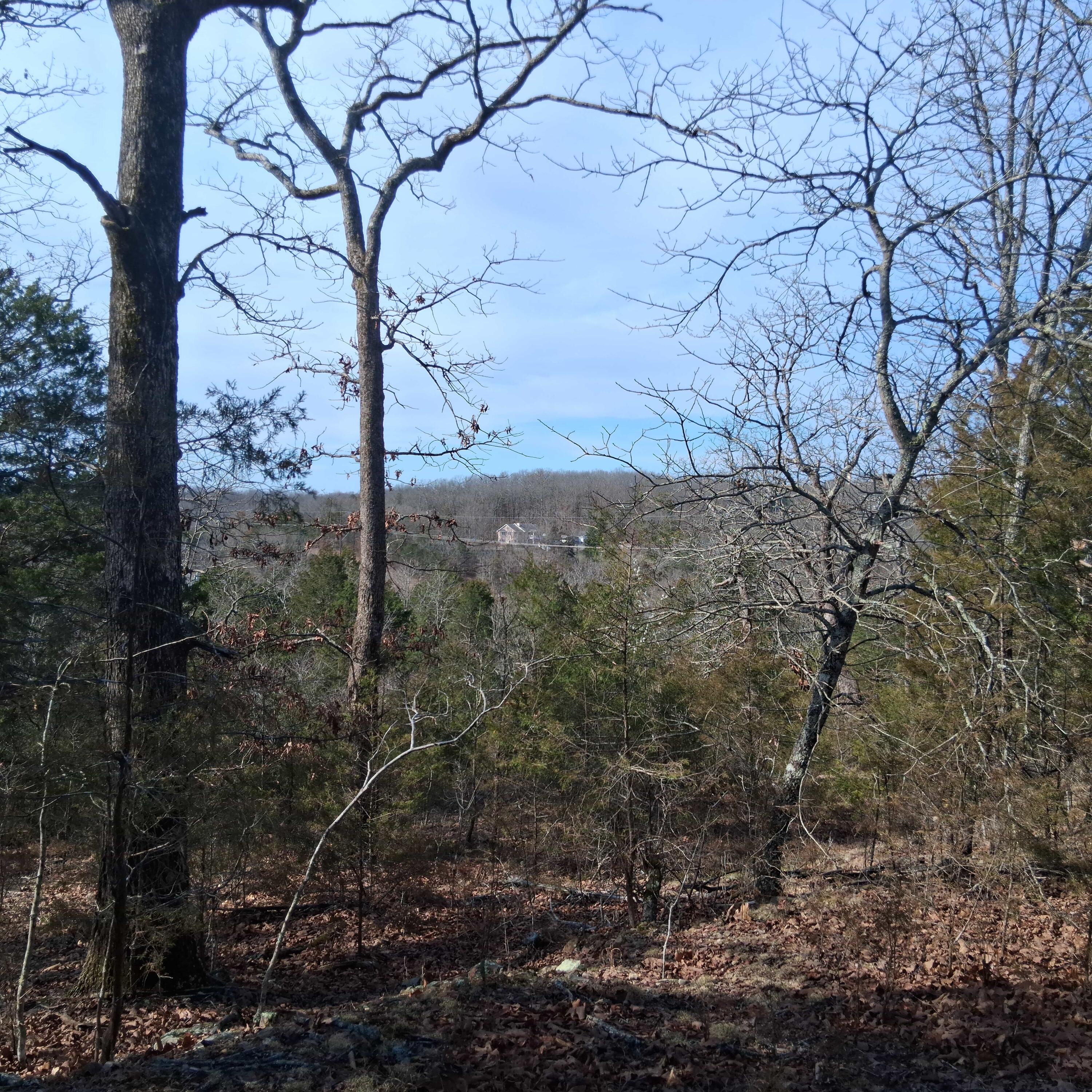 Photo 2 - Land for sale – Lts 285  Thru 288 Greers Ferry Road  Branson, MO
