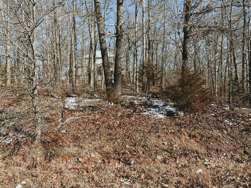 Land for sale – 000 Lot 4 Block 13 Morrison Sub West Plains, MO