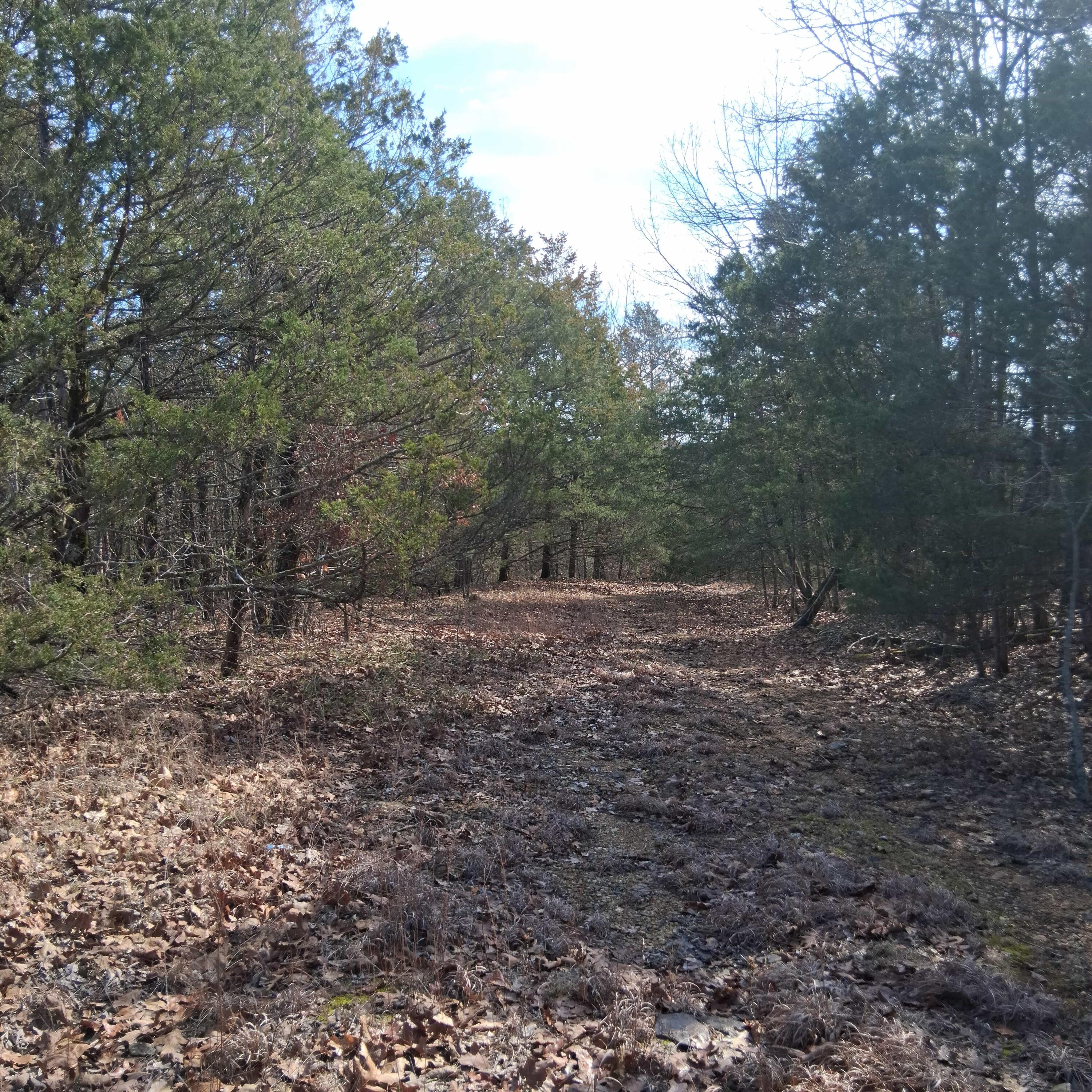 Photo 28 - Land for sale – 000  Greers Ferry Road  Branson, MO