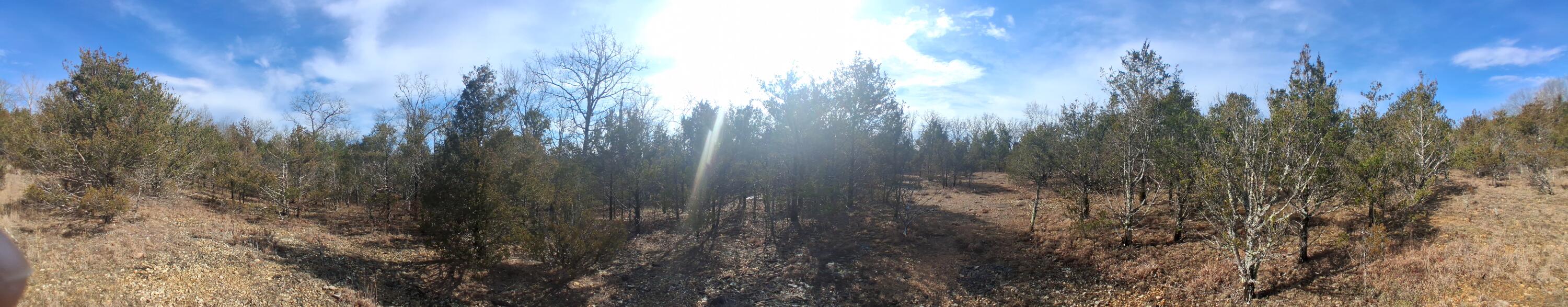 Photo 13 - Land for sale – 000  Greers Ferry Road  Branson, MO
