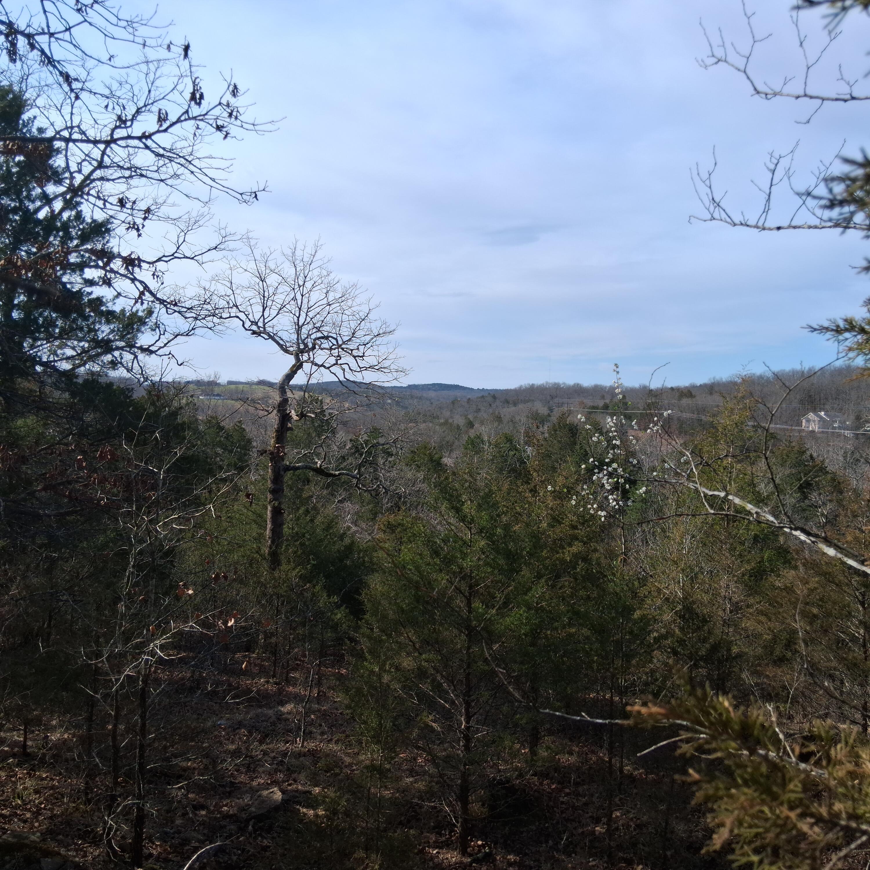 Photo 3 - Land for sale – 000  Greers Ferry Road  Branson, MO