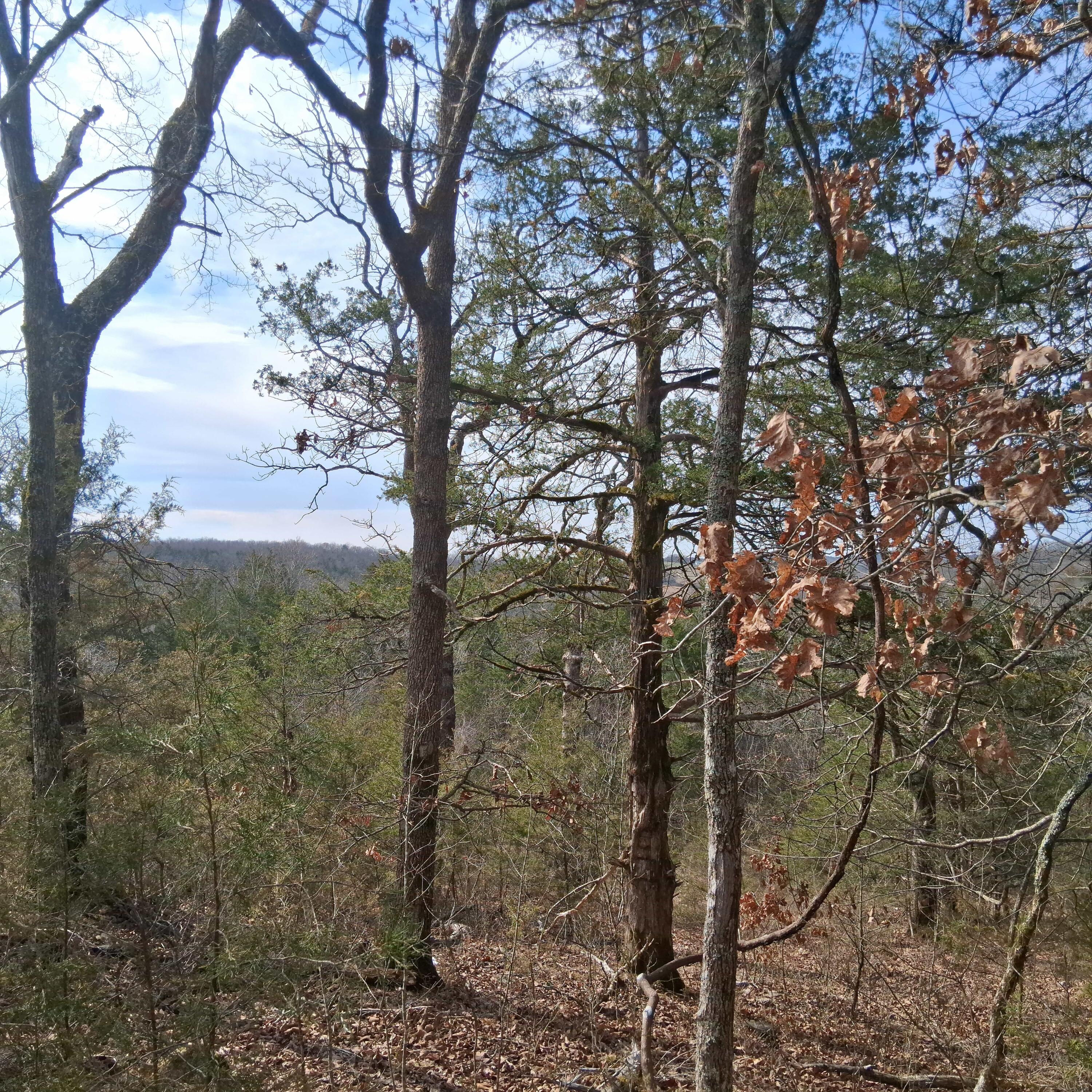 Photo 24 - Land for sale – 000  Greers Ferry Road  Branson, MO