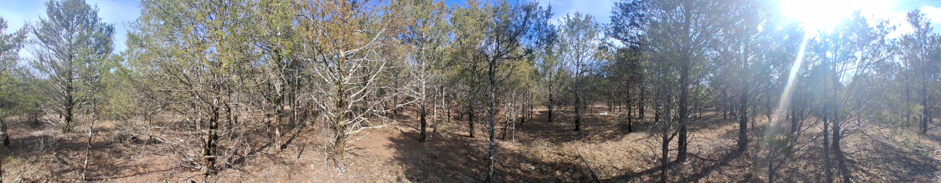 Photo 12 - Land for sale – 000  Greers Ferry Road  Branson, MO