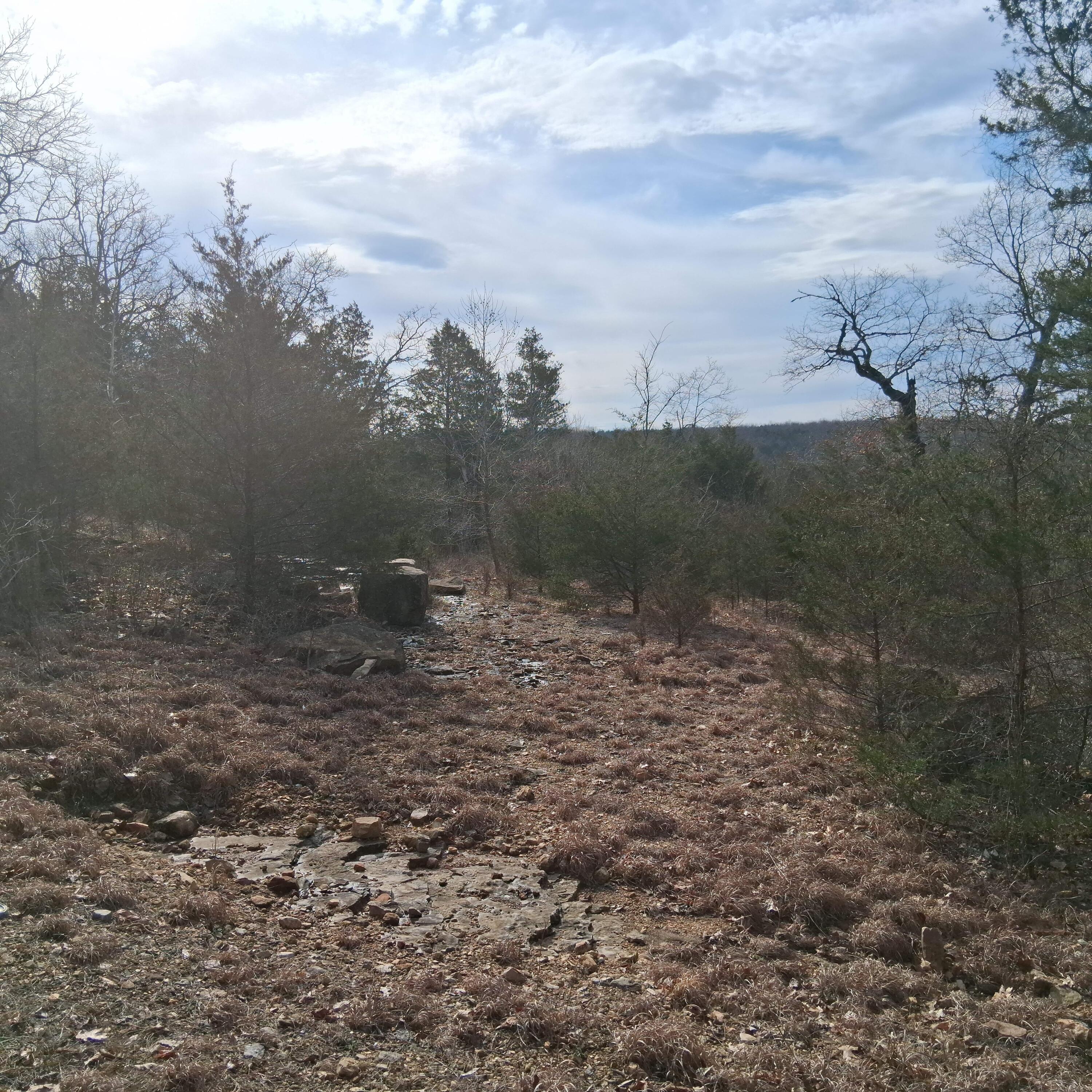 Photo 21 - Land for sale – 000  Greers Ferry Road  Branson, MO
