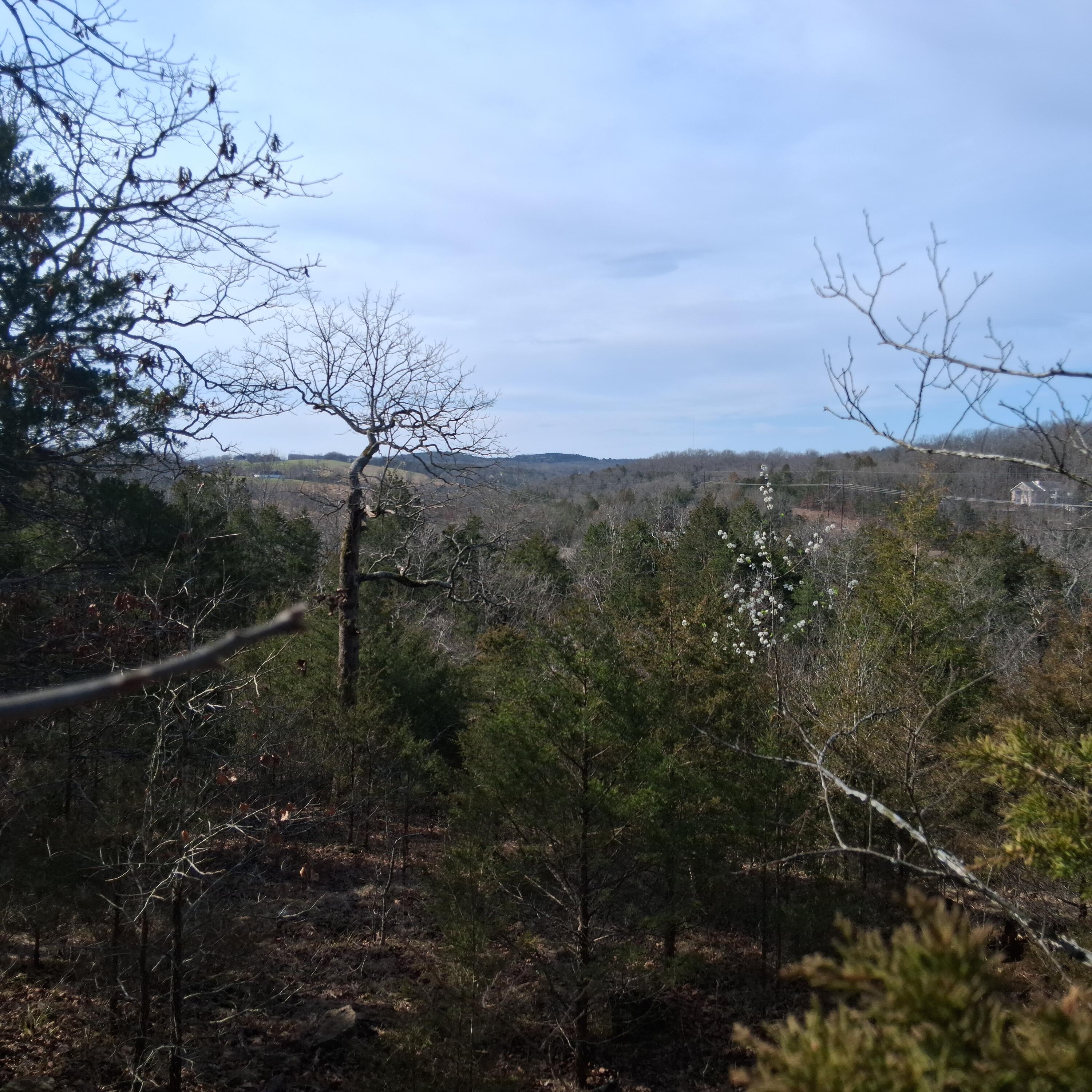 Photo 20 - Land for sale – 000  Greers Ferry Road  Branson, MO
