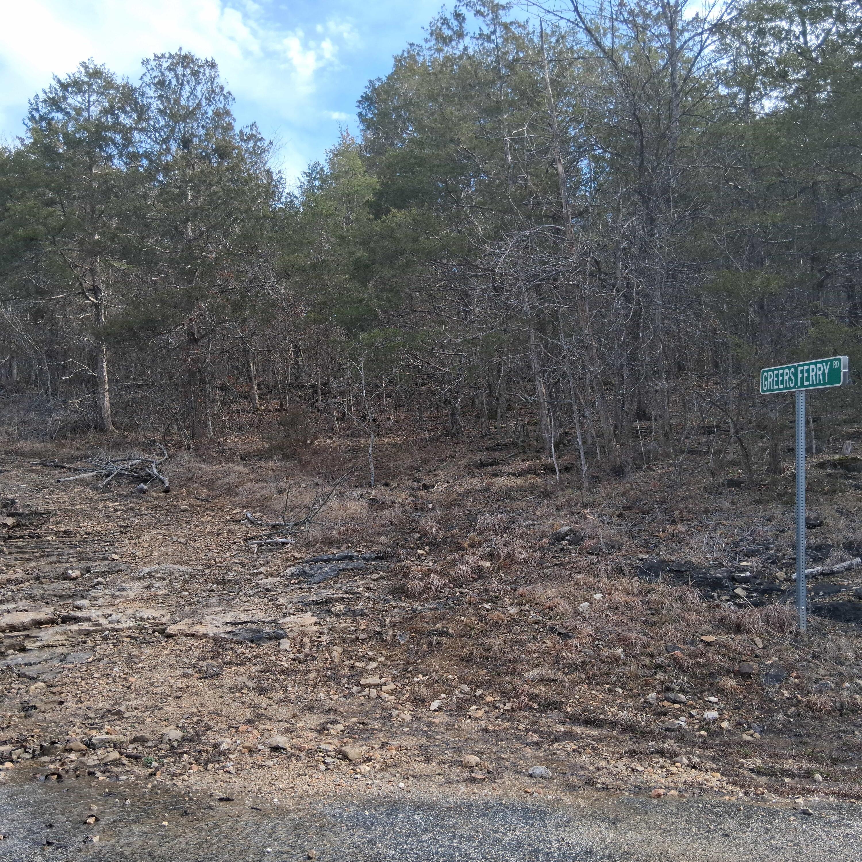 Photo 4 - Land for sale – 000  Greers Ferry Road  Branson, MO