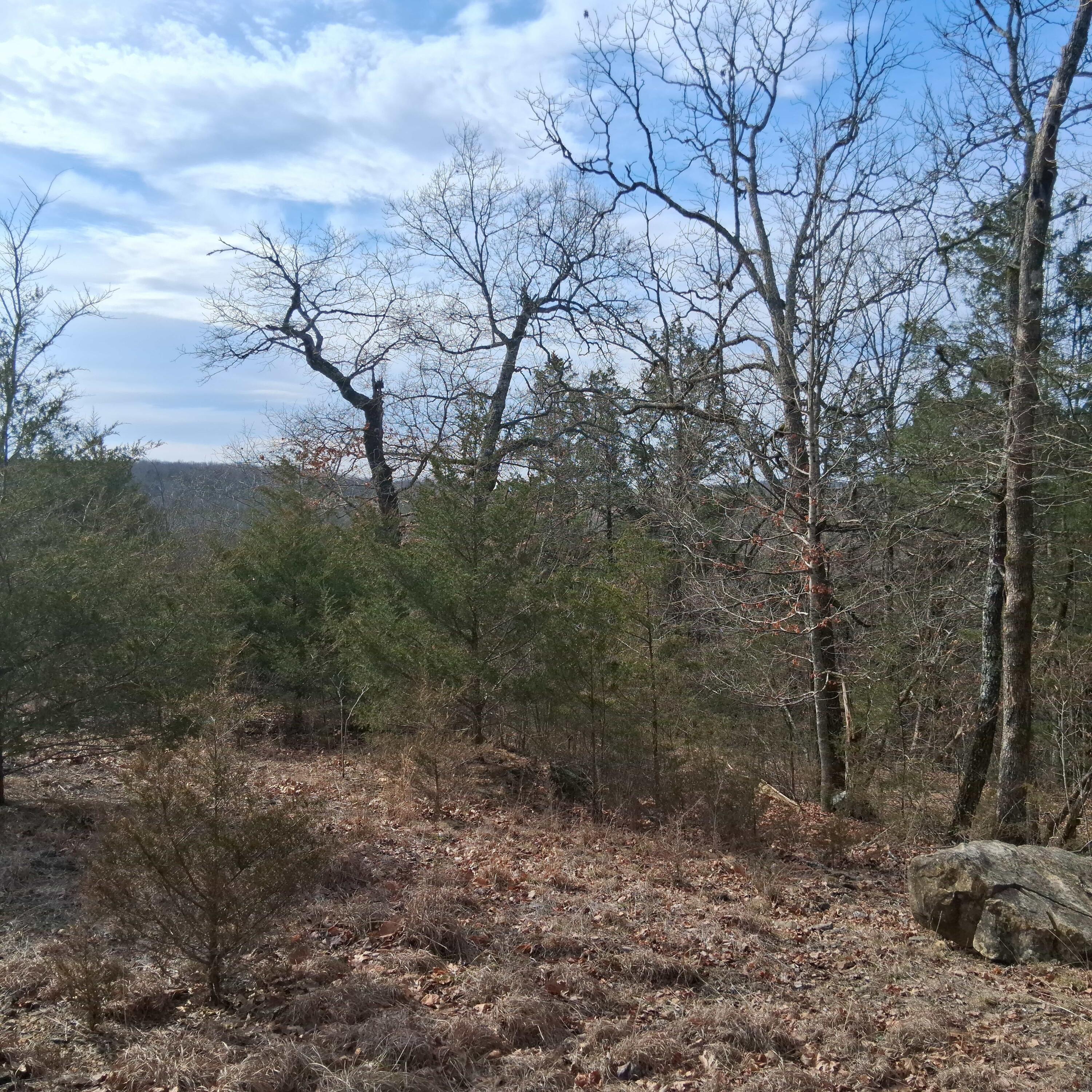 Photo 2 - Land for sale – 000  Greers Ferry Road  Branson, MO