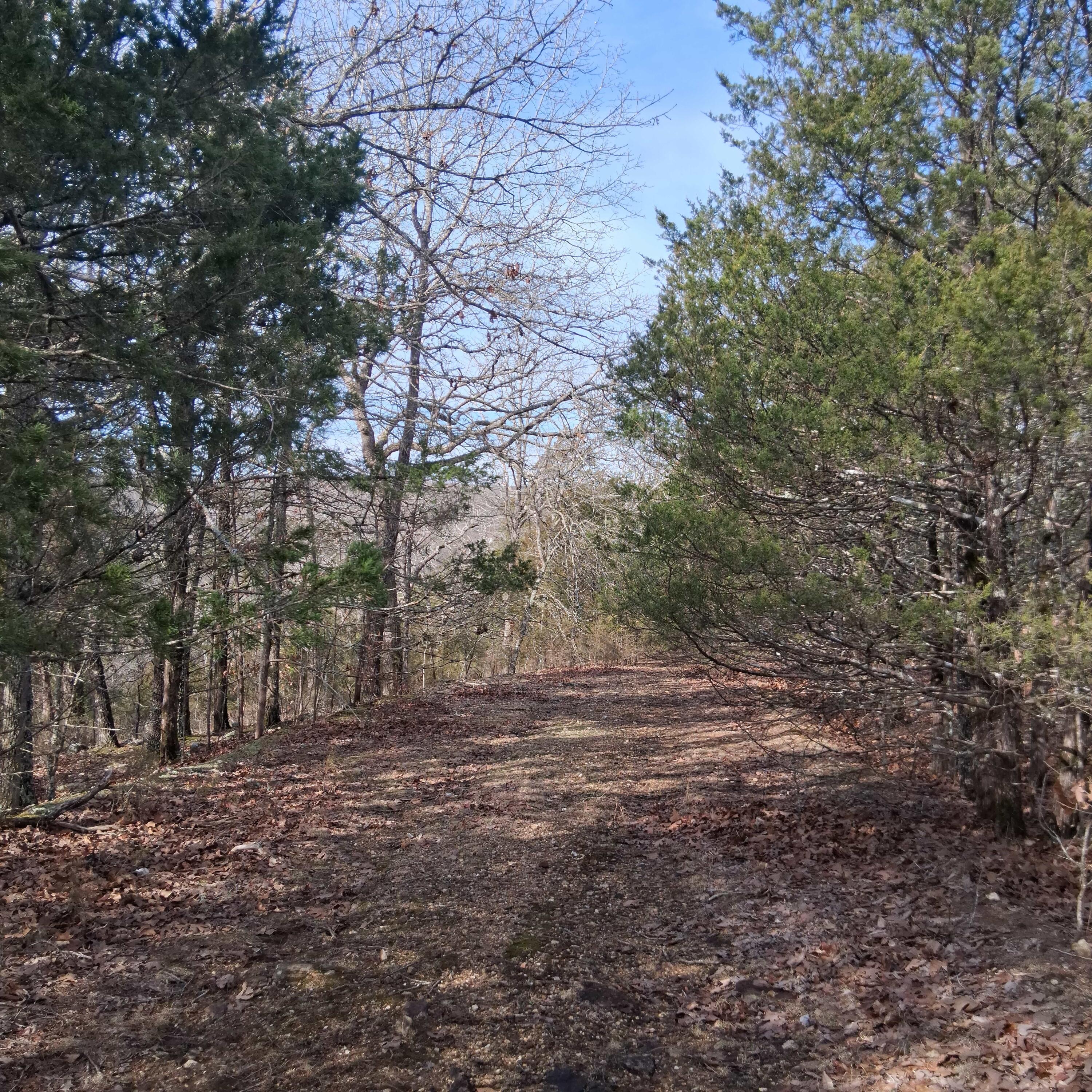 Photo 18 - Land for sale – 000  Greers Ferry Road  Branson, MO