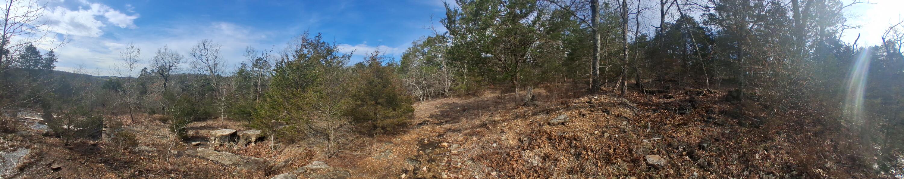 Photo 14 - Land for sale – 000  Greers Ferry Road  Branson, MO