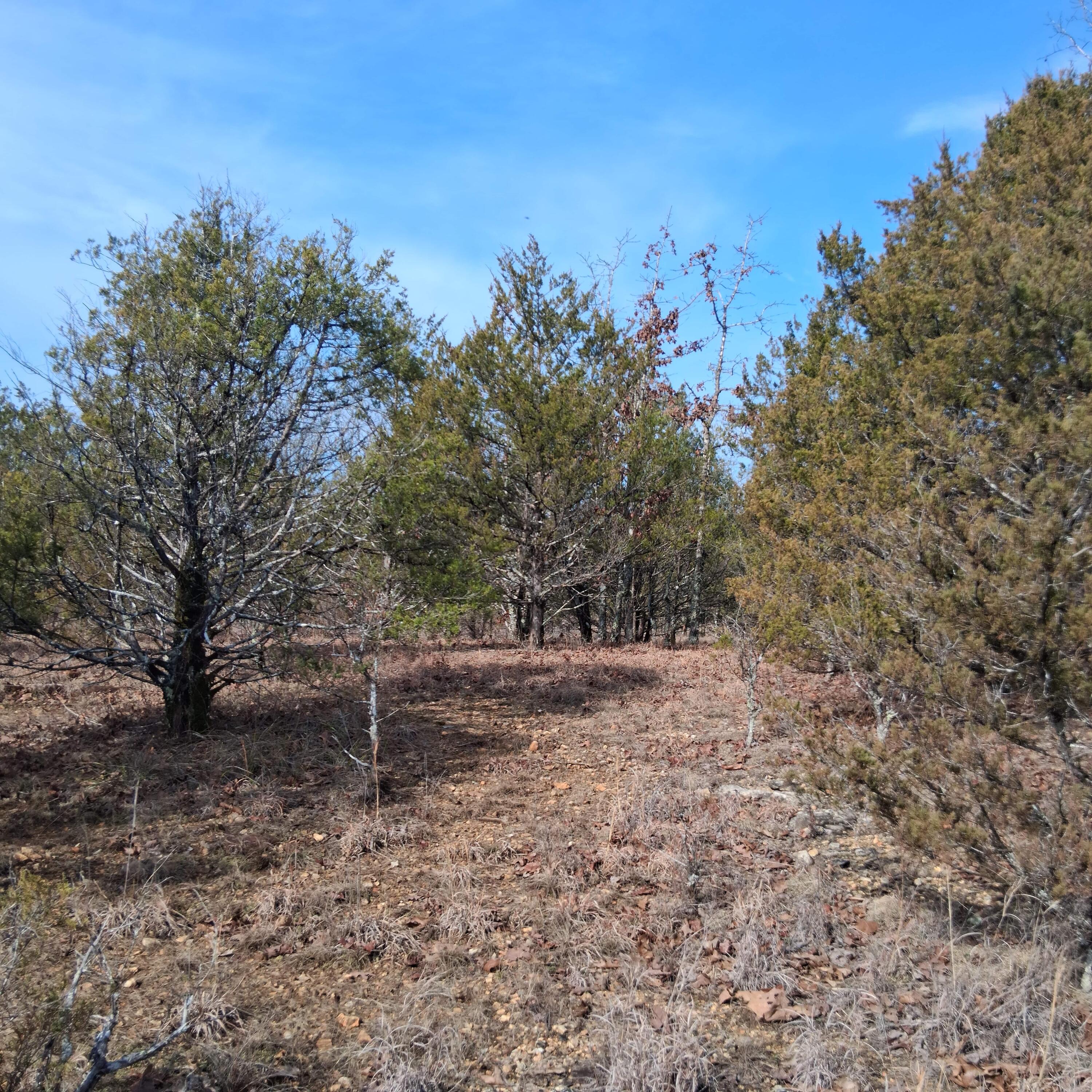 Photo 29 - Land for sale – 000  Greers Ferry Road  Branson, MO