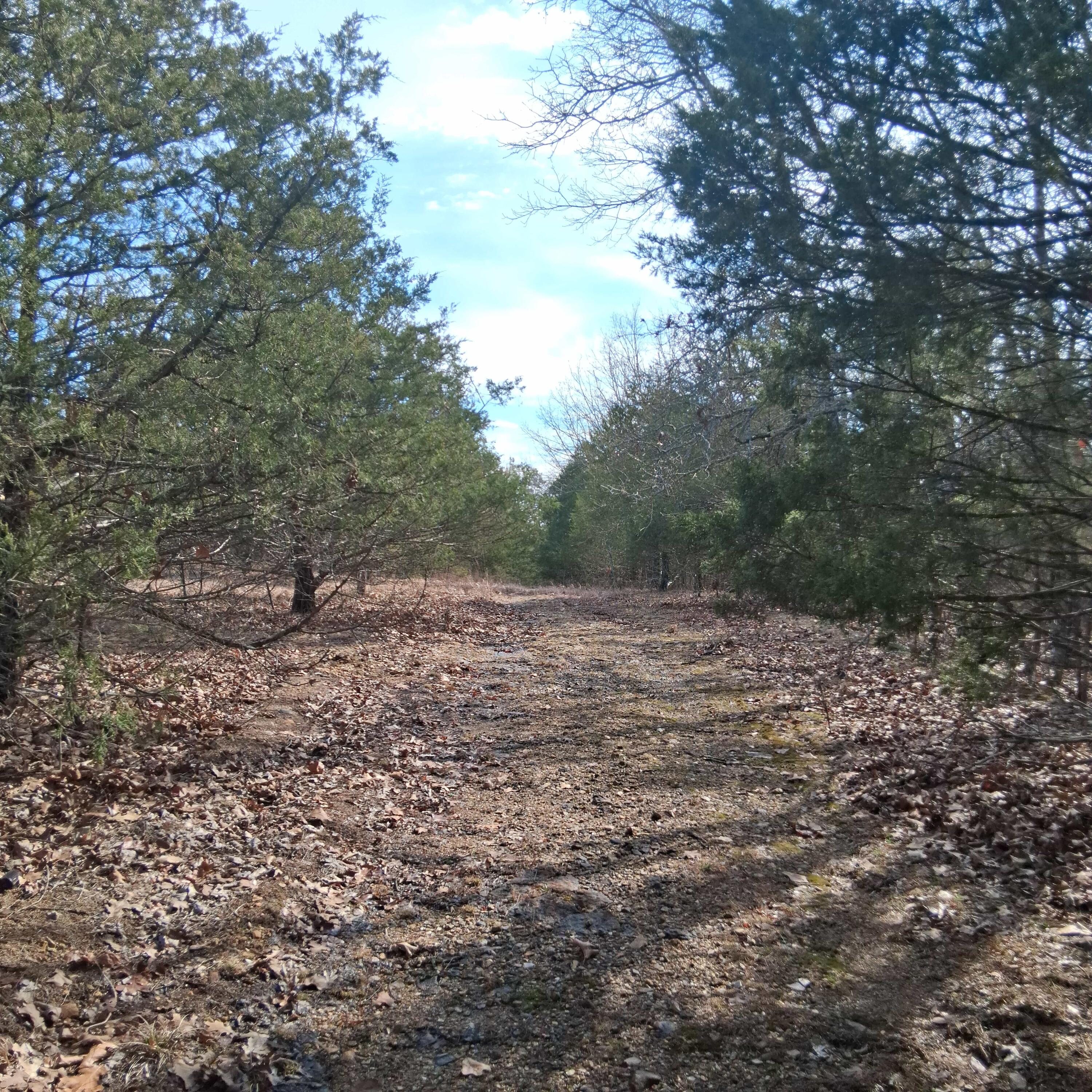 Photo 27 - Land for sale – 000  Greers Ferry Road  Branson, MO