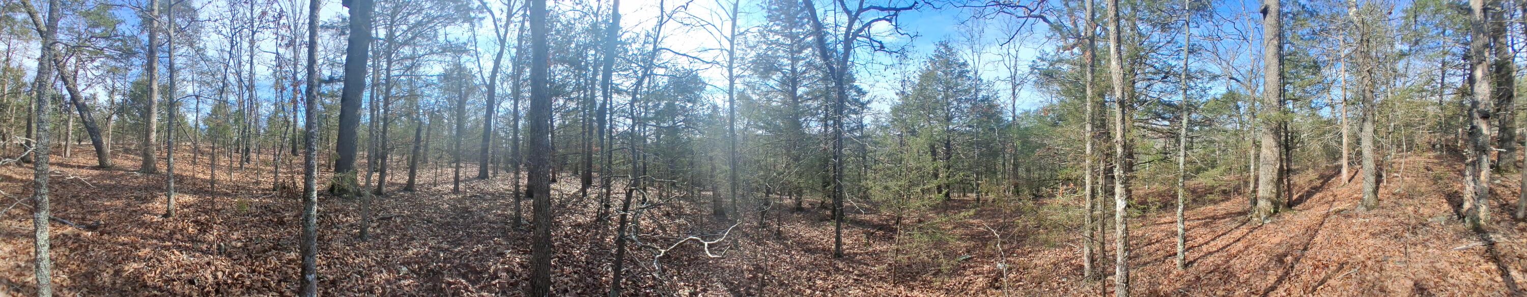 Photo 11 - Land for sale – 000  Greers Ferry Road  Branson, MO