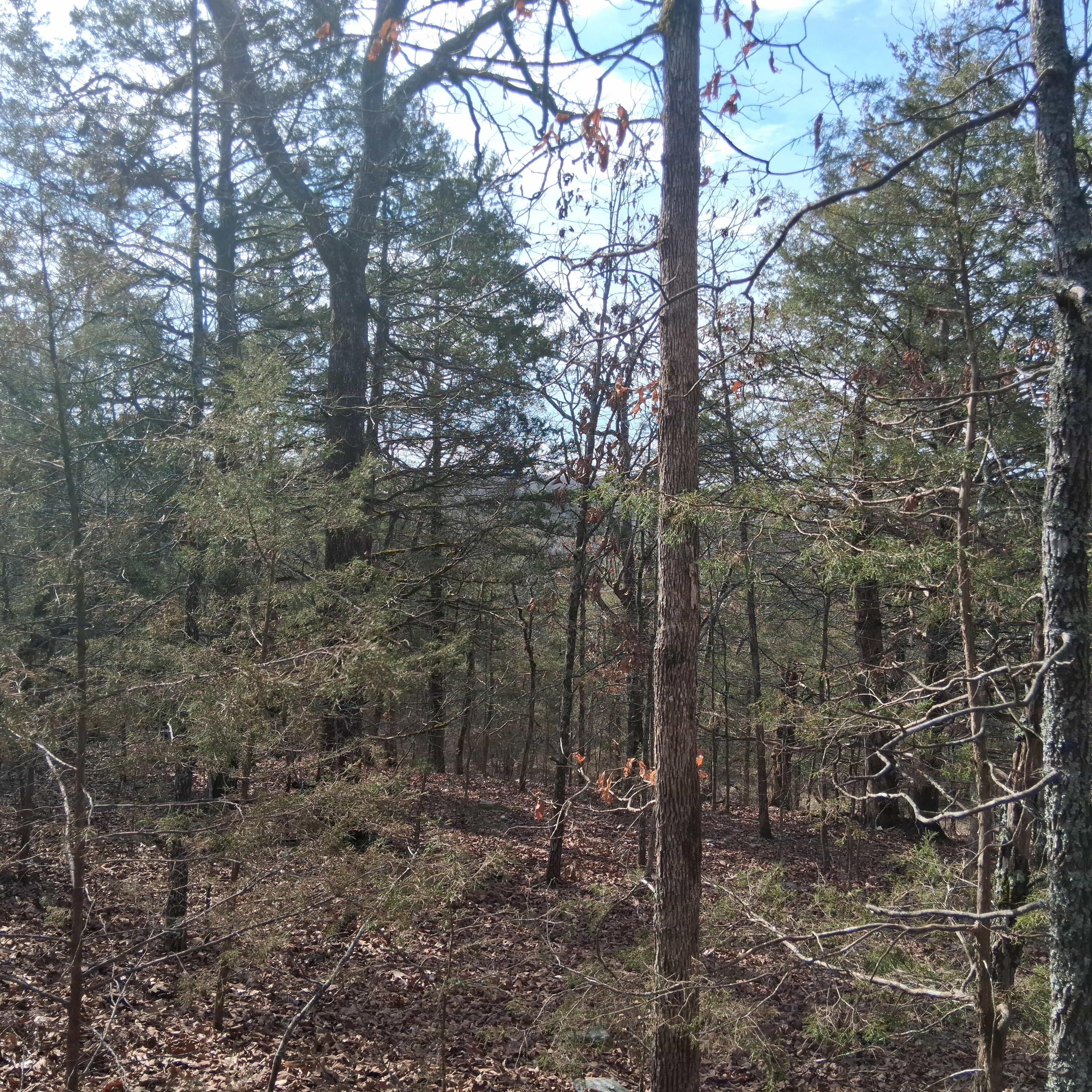 Photo 25 - Land for sale – 000  Greers Ferry Road  Branson, MO