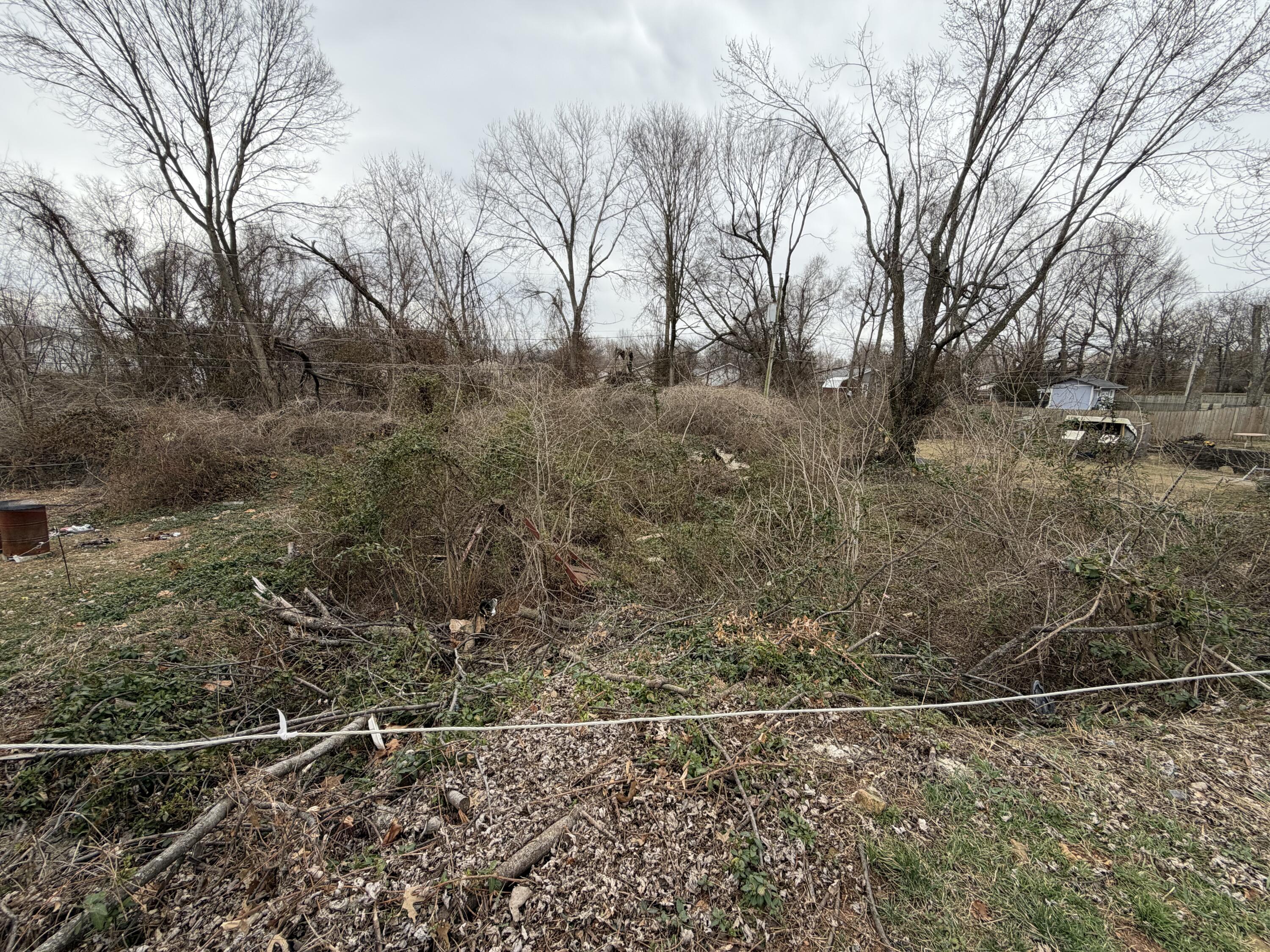 Photo 3 - Land for sale – 1228 N Glenn Avenue  Springfield, MO