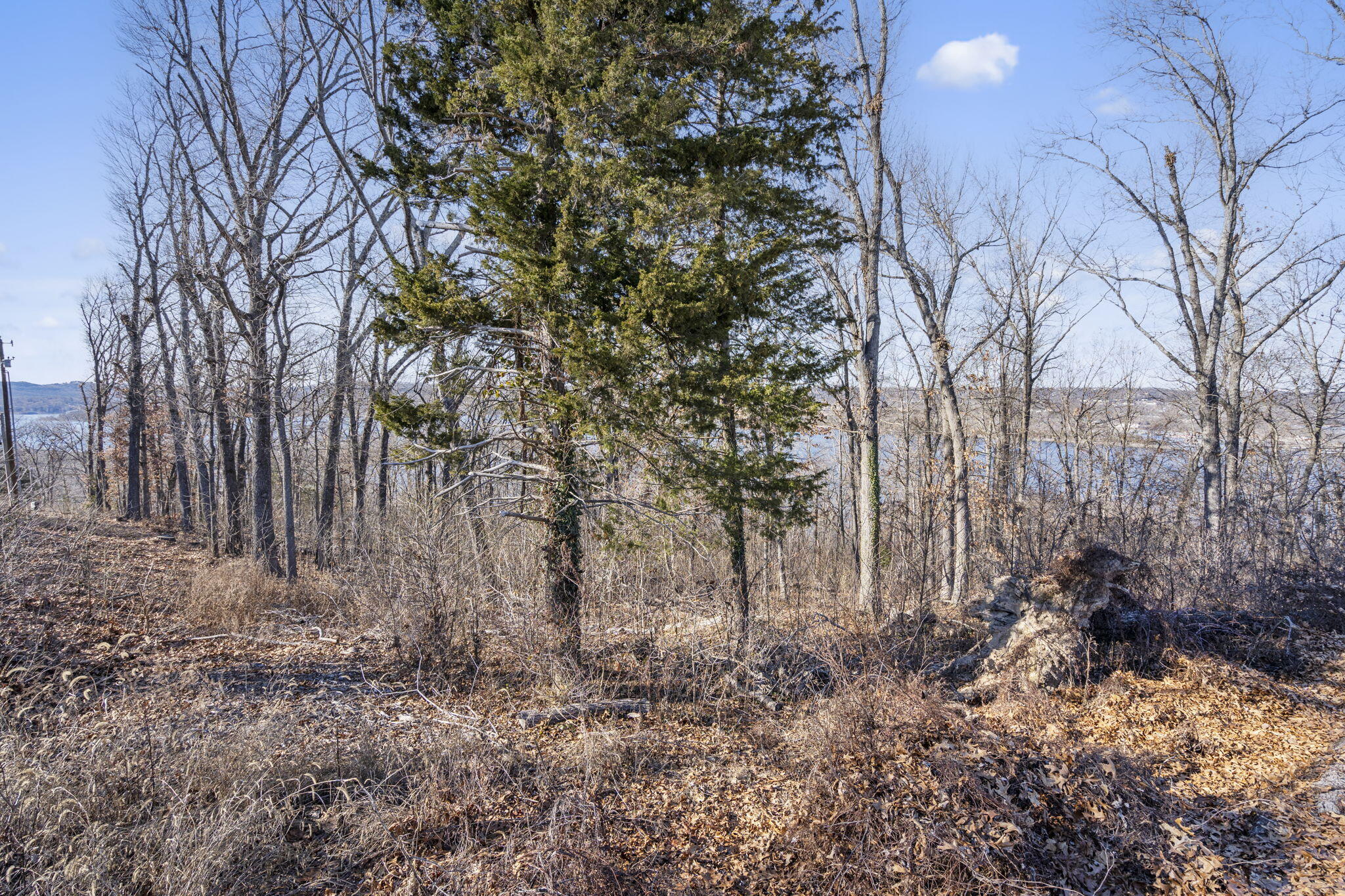 Photo 13 - Land for sale – Tbd  Silverbridge Lane  Kimberling City, MO