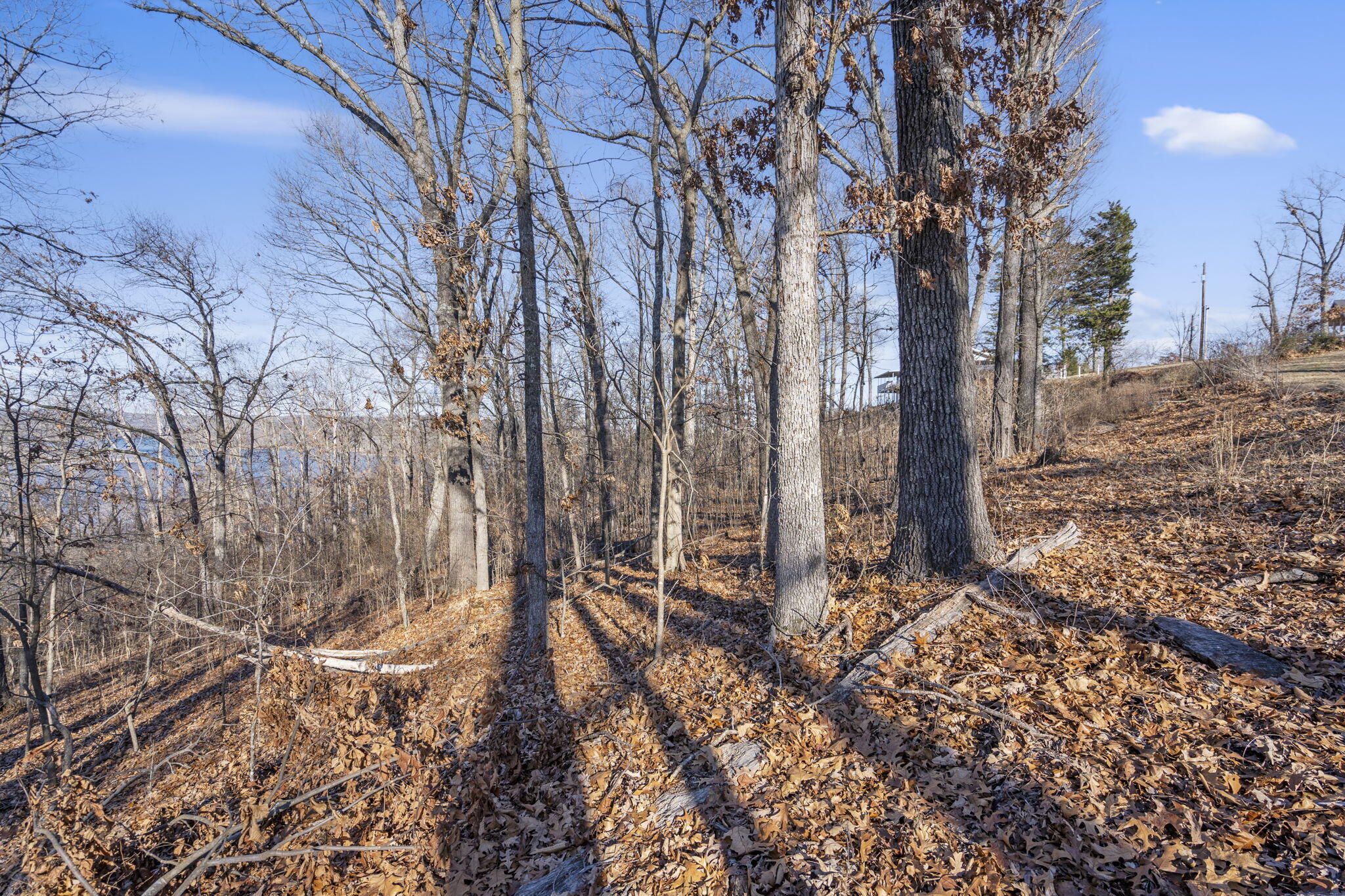 Photo 9 - Land for sale – Tbd  Silverbridge Lane  Kimberling City, MO