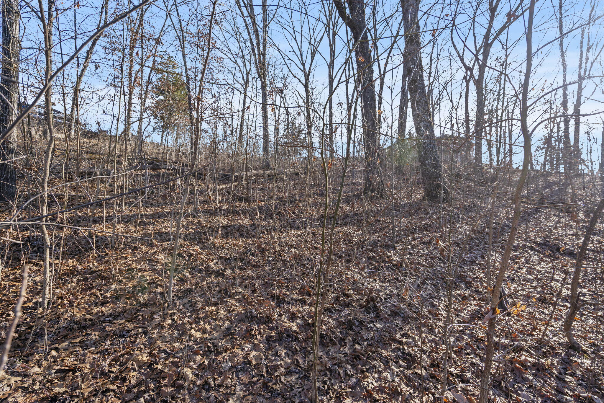 Photo 11 - Land for sale – Tbd  Silverbridge Lane  Kimberling City, MO