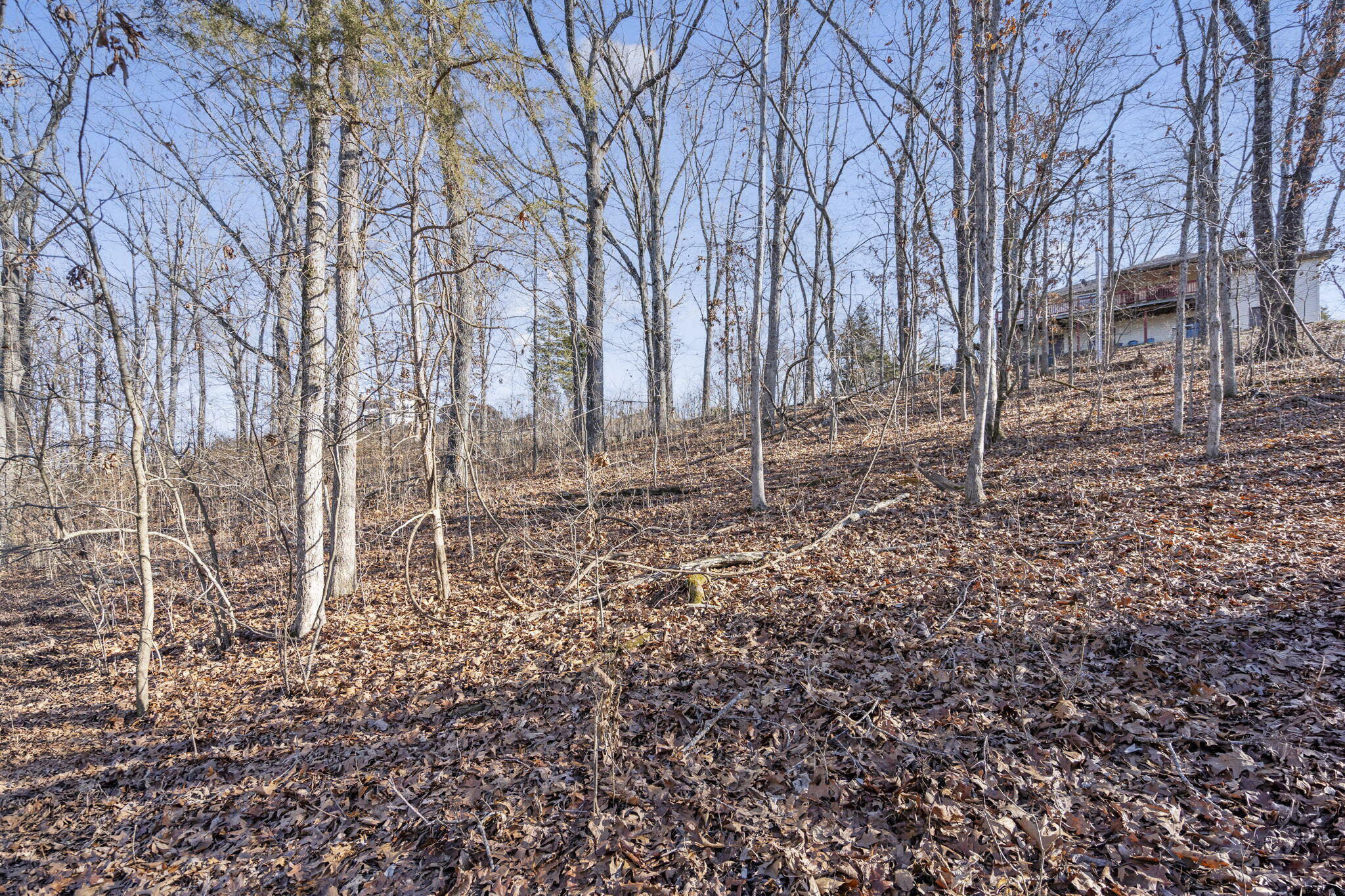 Photo 10 - Land for sale – Tbd  Silverbridge Lane  Kimberling City, MO