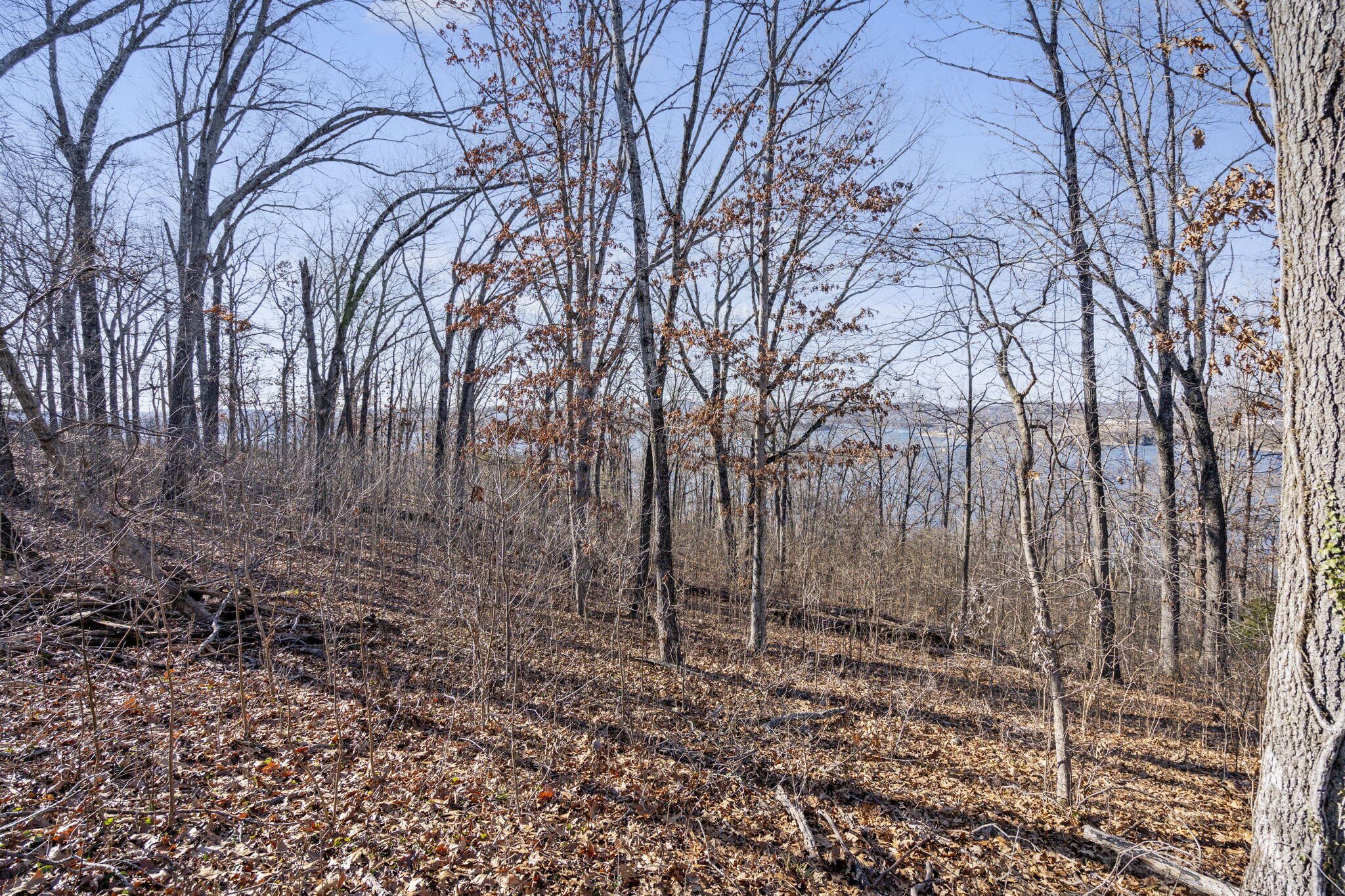 Photo 12 - Land for sale – Tbd  Silverbridge Lane  Kimberling City, MO