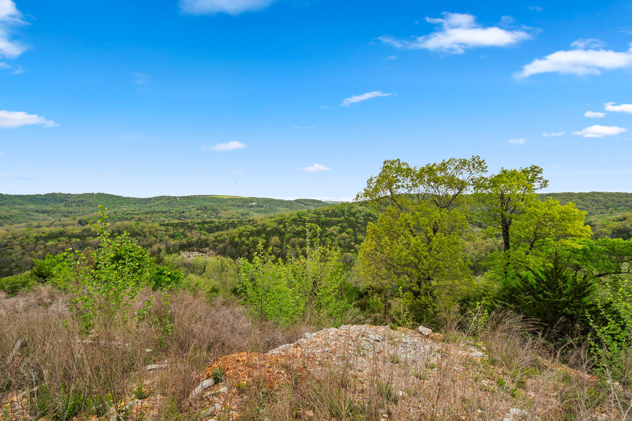 Photo 36 - Commercial Sale for sale – 39  Songbird Circle  Branson, MO