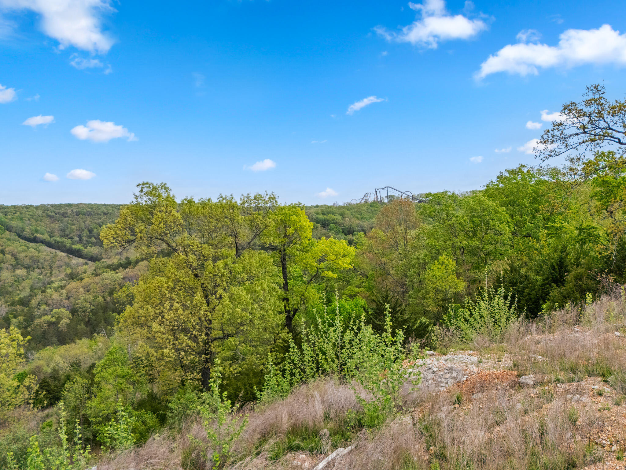 Photo 46 - Commercial Sale for sale – 39  Songbird Circle  Branson, MO