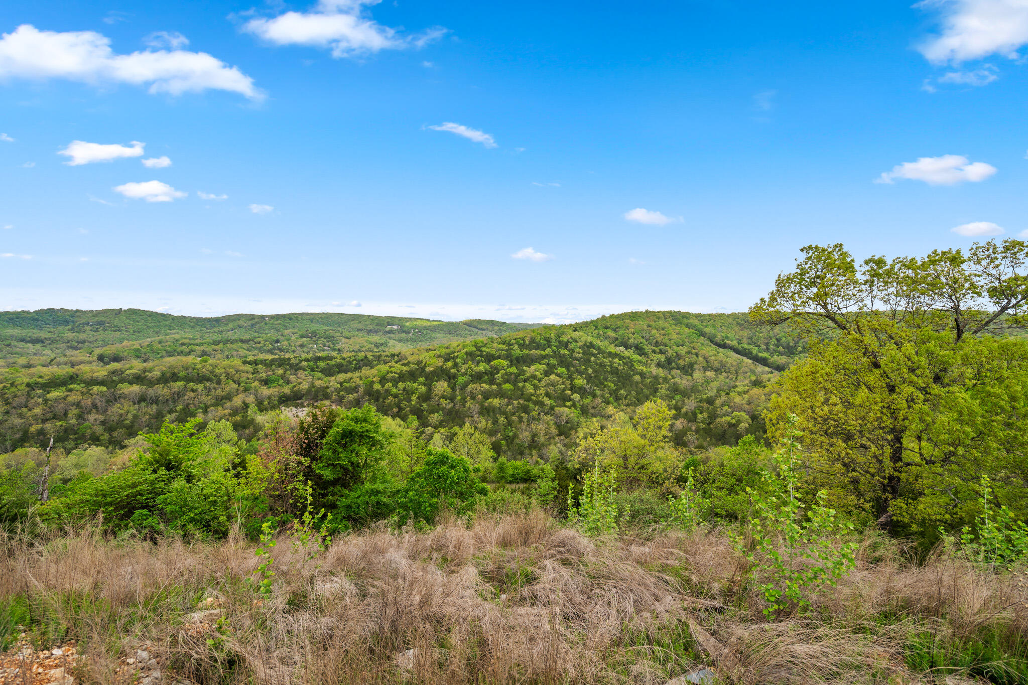 Photo 37 - Commercial Sale for sale – 39  Songbird Circle  Branson, MO