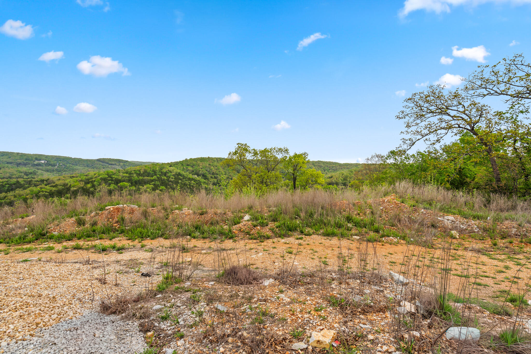 Photo 32 - Commercial Sale for sale – 39  Songbird Circle  Branson, MO