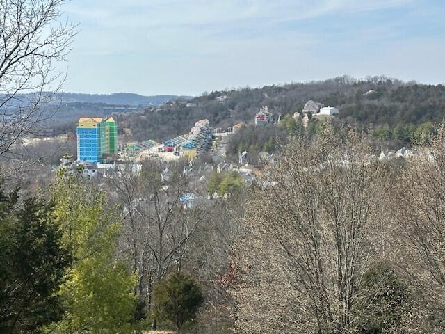 Photo 3 - Land for sale – 32  Canyon Parkway  Branson, MO