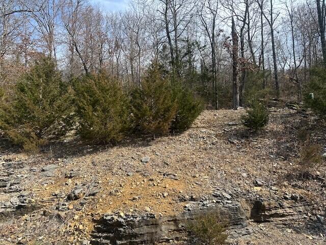 Photo 8 - Land for sale – 32  Canyon Parkway  Branson, MO