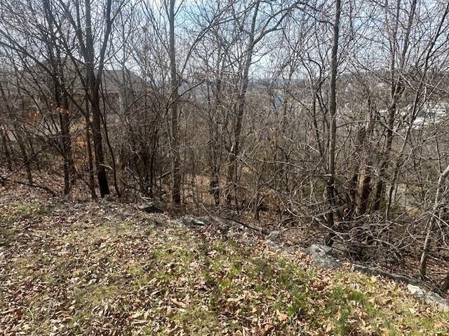 Photo 6 - Land for sale – 32  Canyon Parkway  Branson, MO