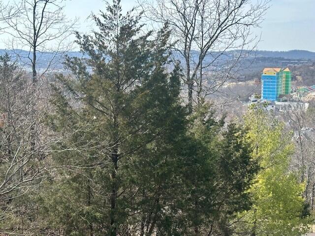 Photo 2 - Land for sale – 32  Canyon Parkway  Branson, MO