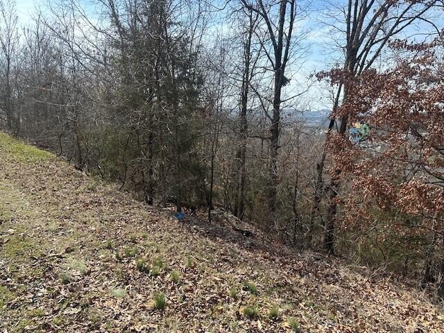 Photo 4 - Land for sale – 32  Canyon Parkway  Branson, MO