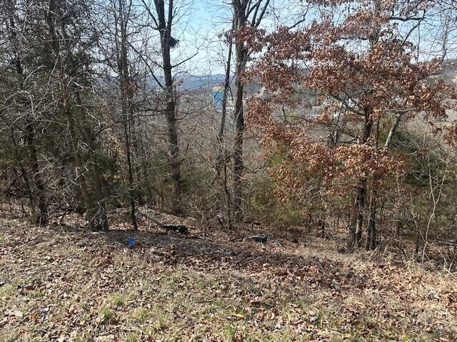 Photo 5 - Land for sale – 32  Canyon Parkway  Branson, MO