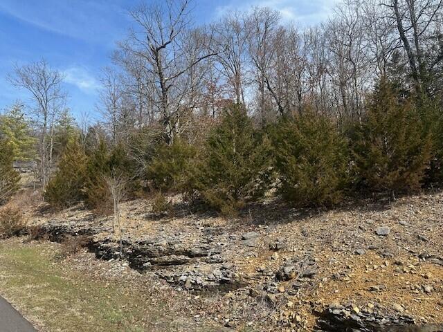 Photo 9 - Land for sale – 32  Canyon Parkway  Branson, MO
