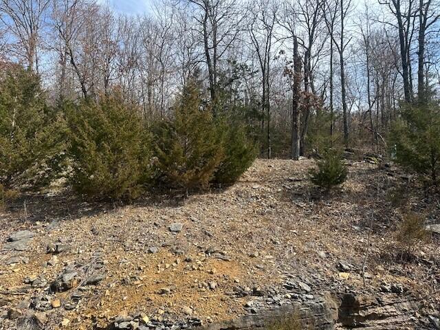 Photo 10 - Land for sale – 32  Canyon Parkway  Branson, MO