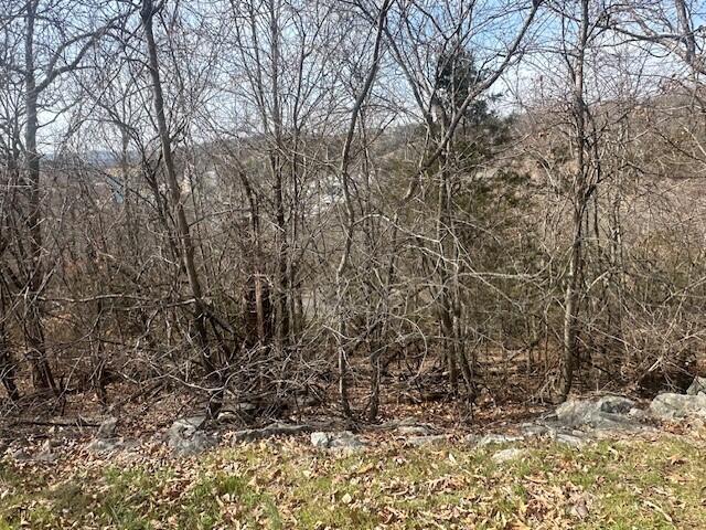 Photo 7 - Land for sale – 32  Canyon Parkway  Branson, MO