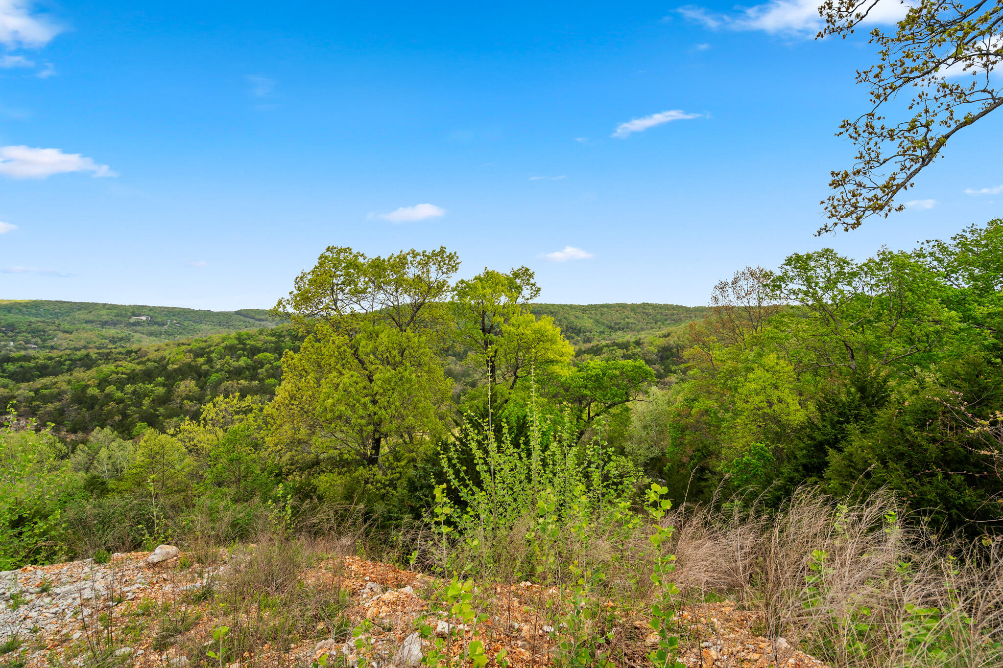 Photo 35 - Land for sale – 39  Songbird Circle  Branson, MO