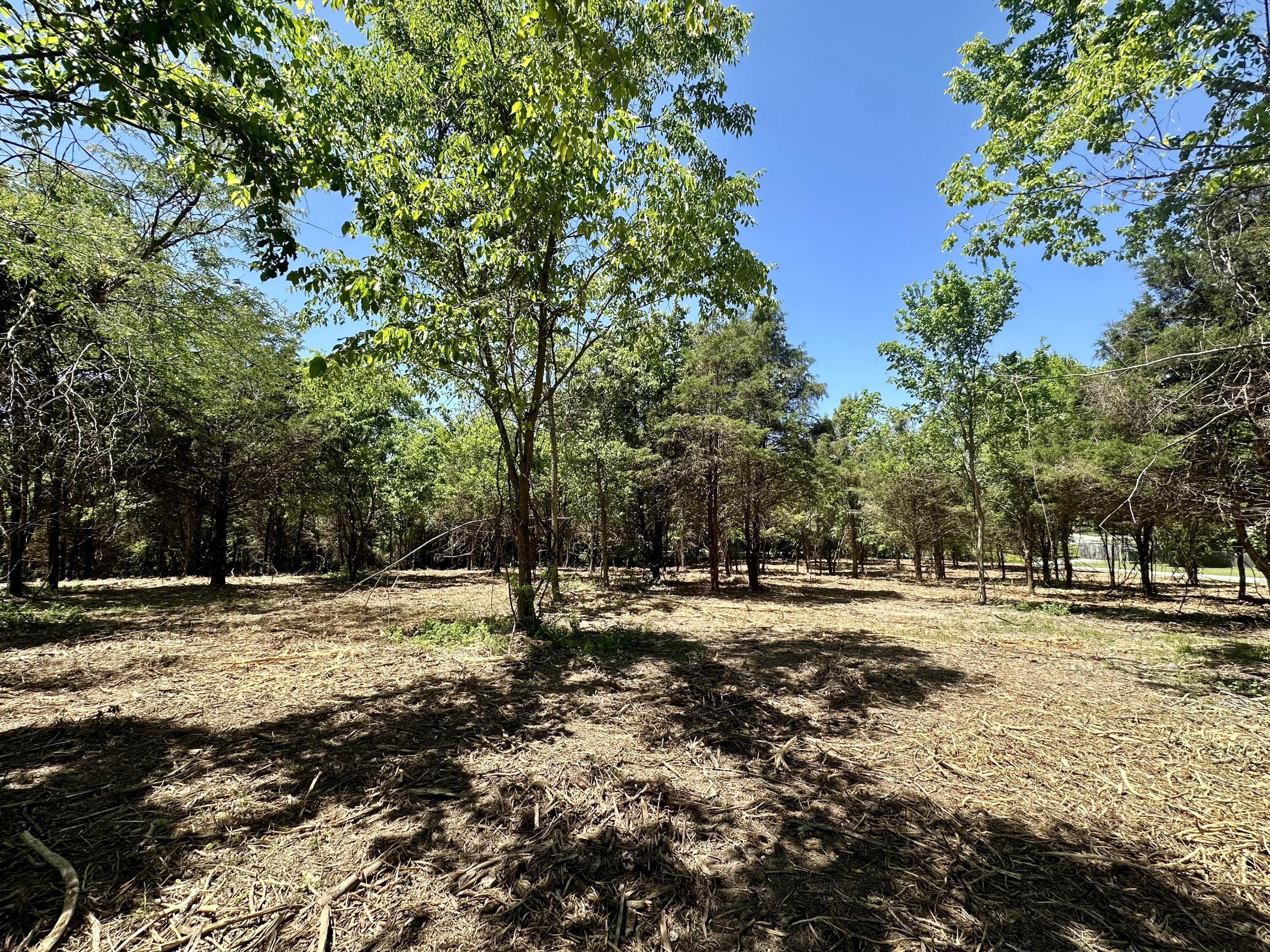 Photo 3 - Land for sale – Lot 6  Mack Road  Nixa, MO