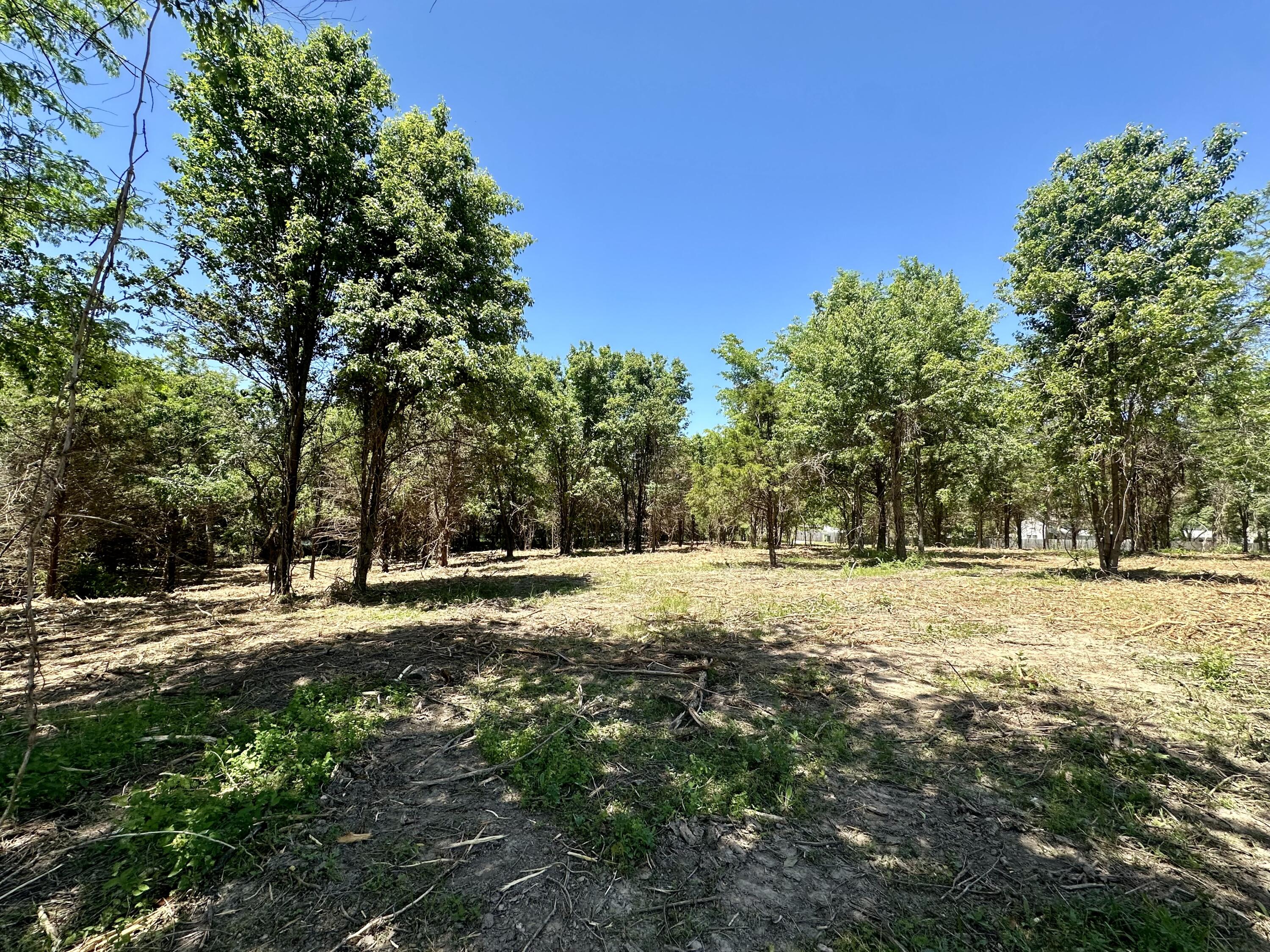 Photo 5 - Land for sale – Lot 6  Mack Road  Nixa, MO