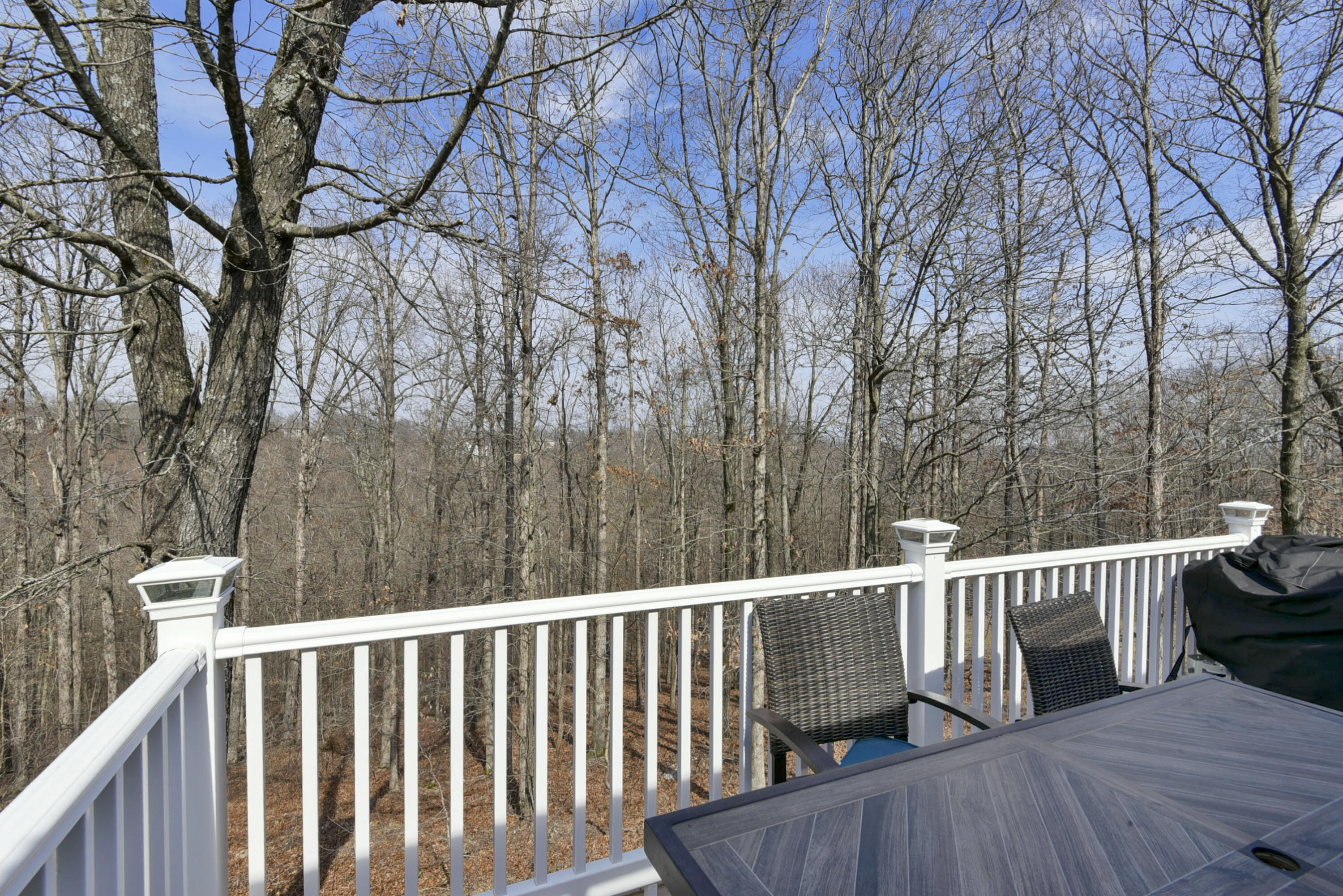 Photo 41 - Residential for sale – 325  Southview Drive  Branson, MO