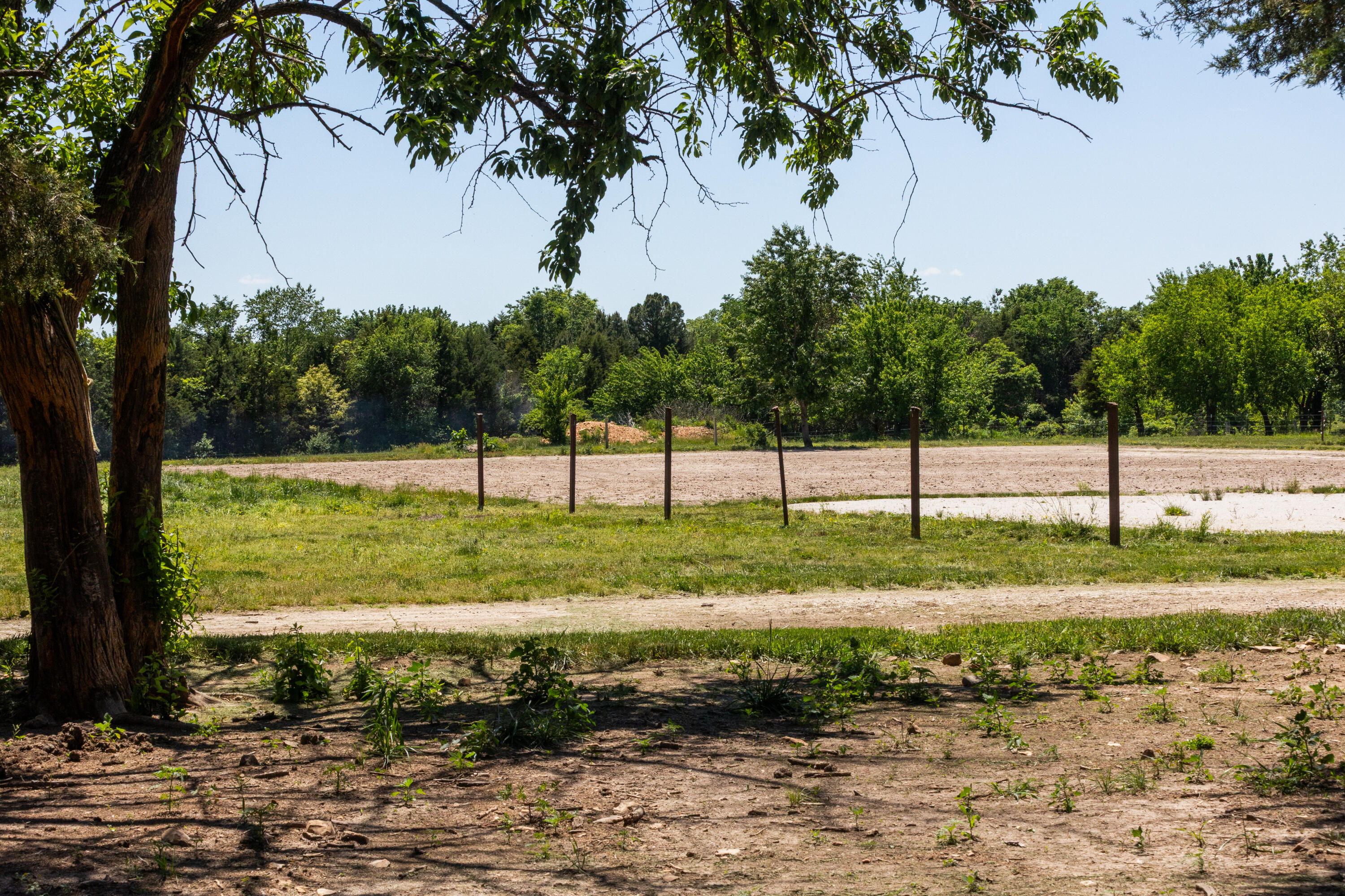 Photo 11 - Land for sale – 1744 N Farm Road 71   Bois D Arc, MO