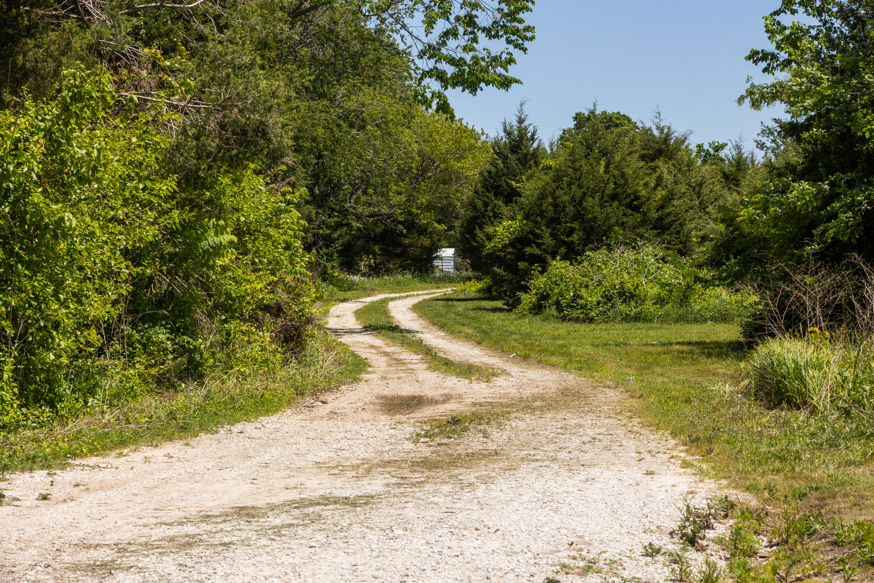 Photo 3 - Land for sale – 1744 N Farm Road 71   Bois D Arc, MO