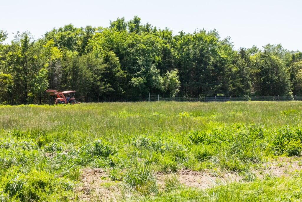Photo 8 - Land for sale – 1744 N Farm Road 71   Bois D Arc, MO