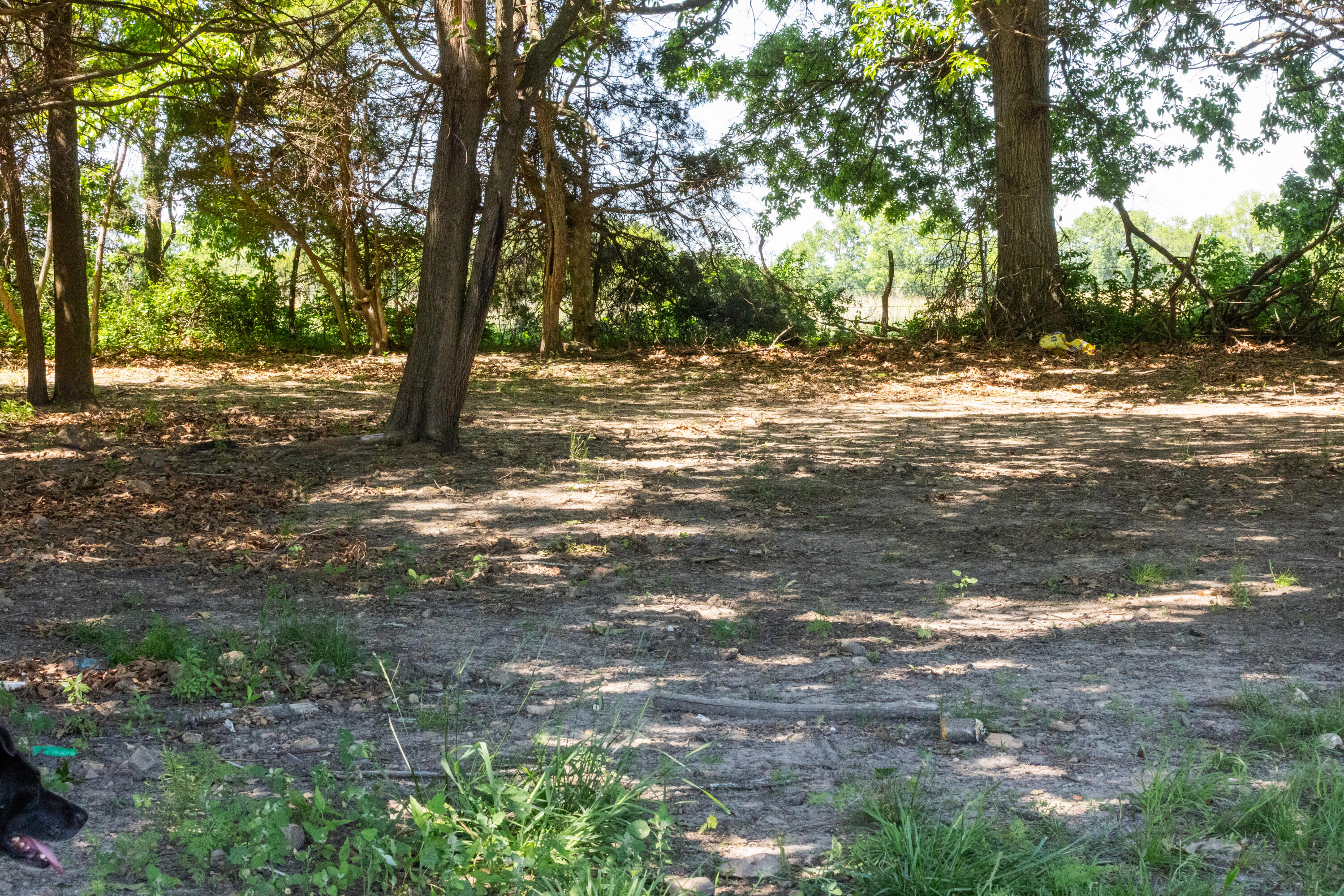 Photo 37 - Land for sale – 1744 N Farm Road 71   Bois D Arc, MO